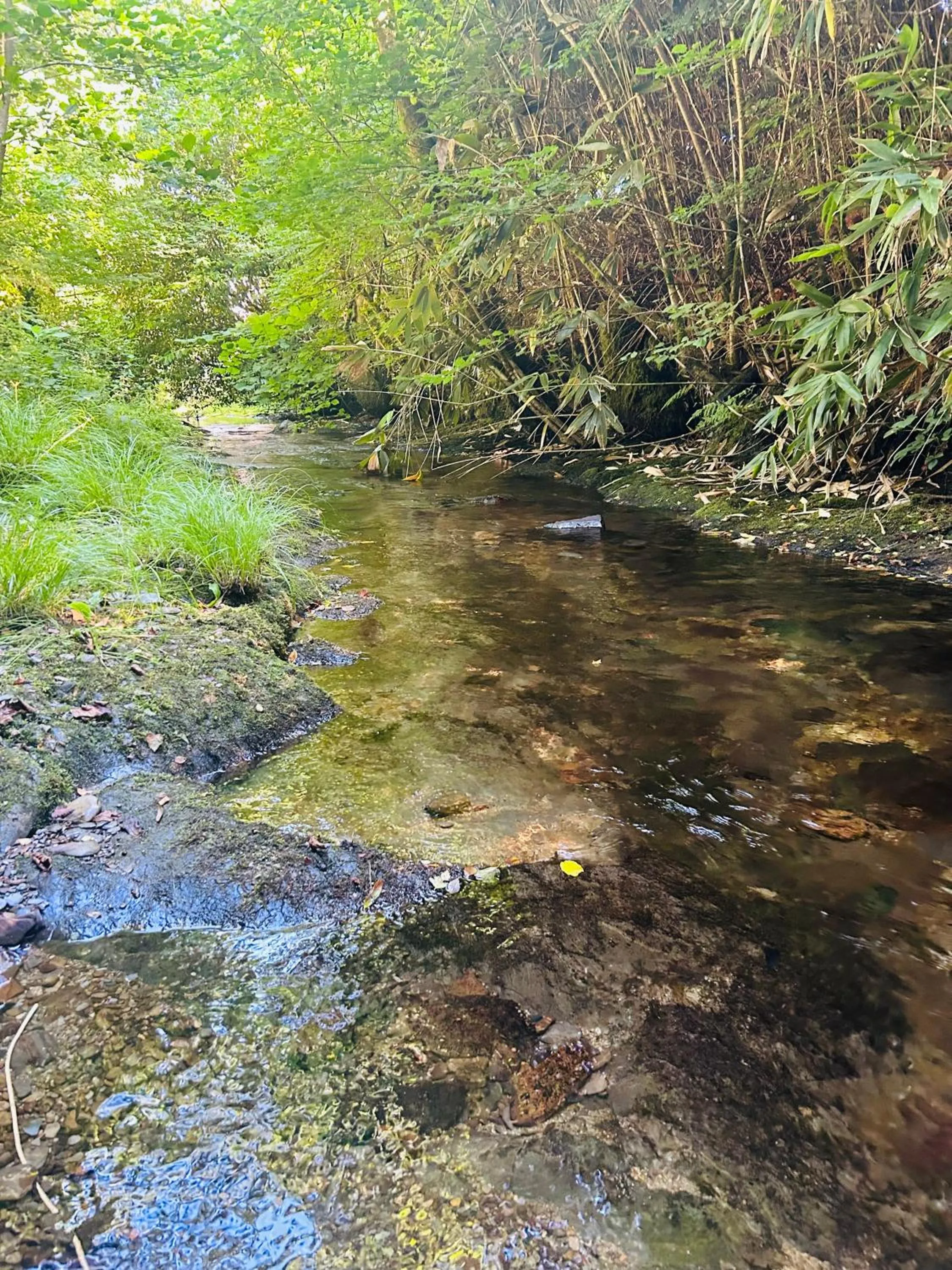 River view in Ty Mawr Country Hotel & Restaurant
