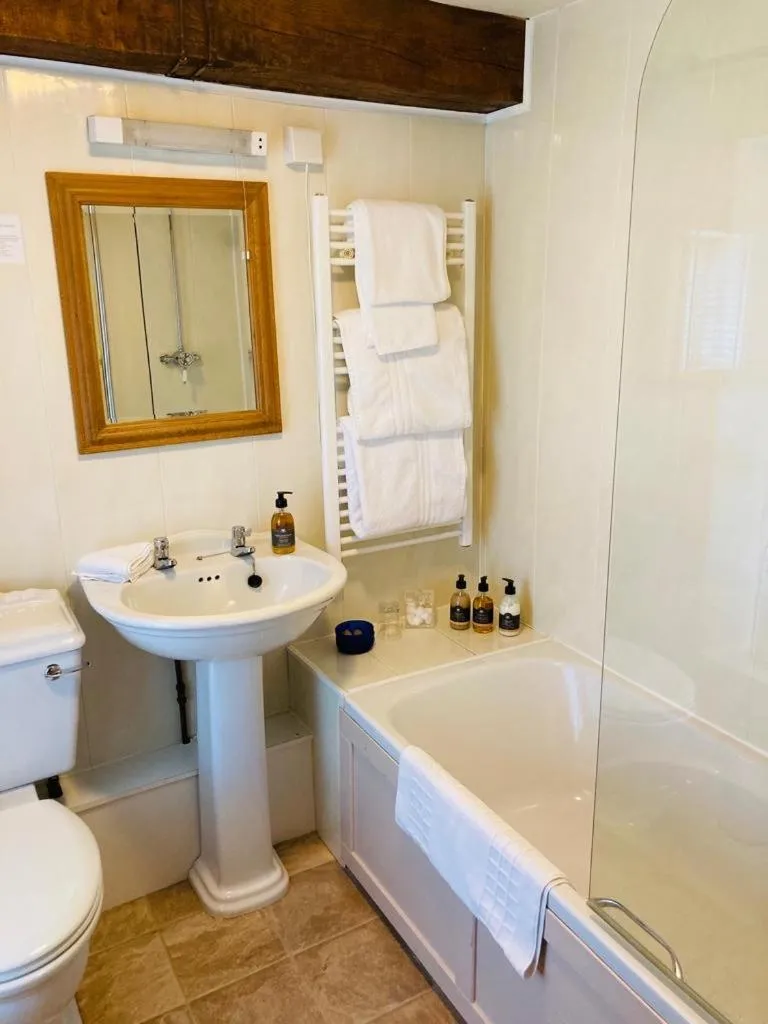 Bathroom in Ty Mawr Country Hotel & Restaurant