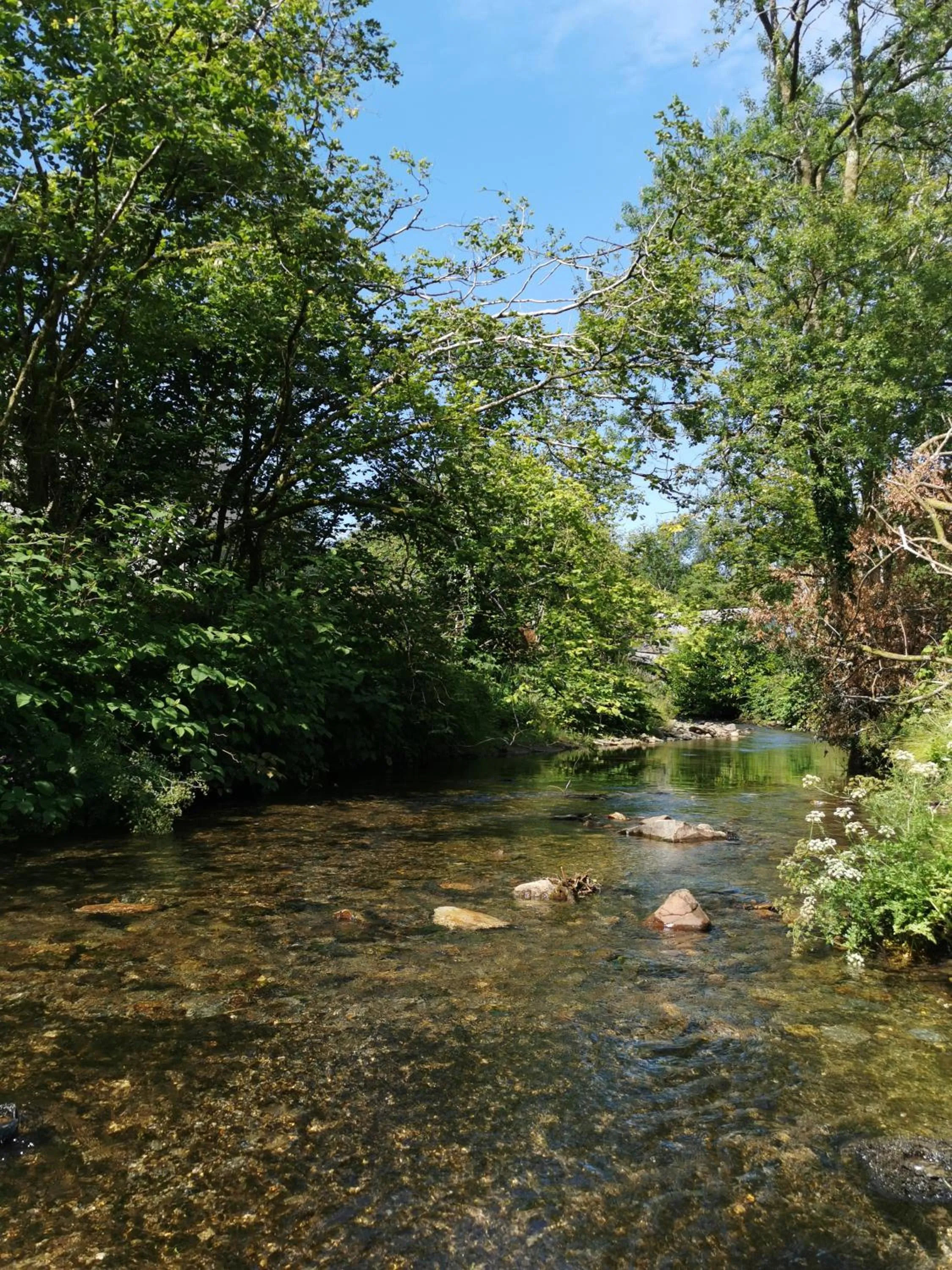 Natural landscape in Ty Mawr Country Hotel & Restaurant