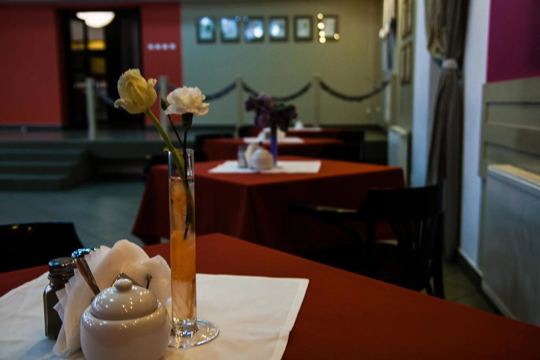 Restaurant/places to eat in Hotel Flora