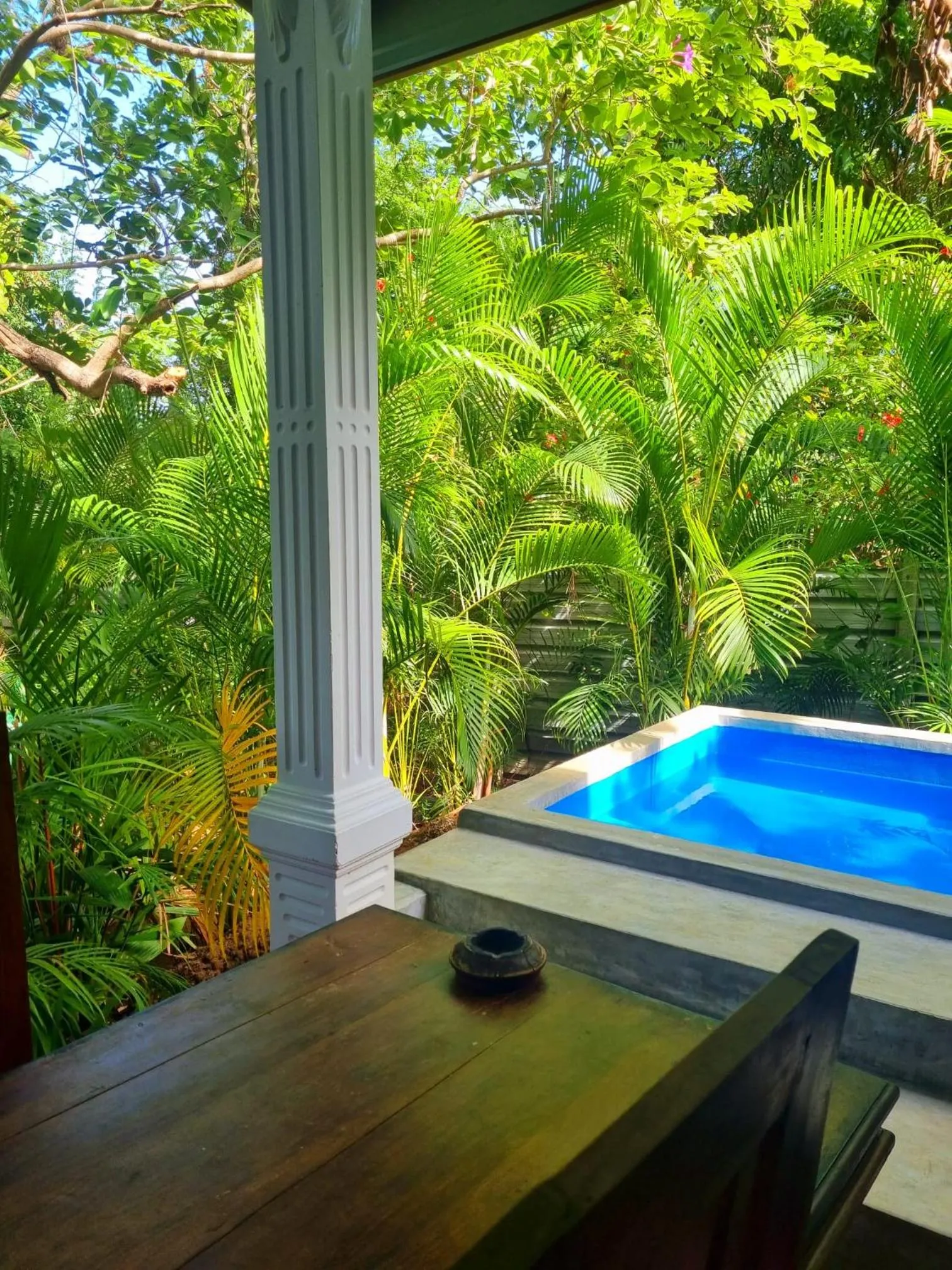 Natural landscape in Sunrise Cottage