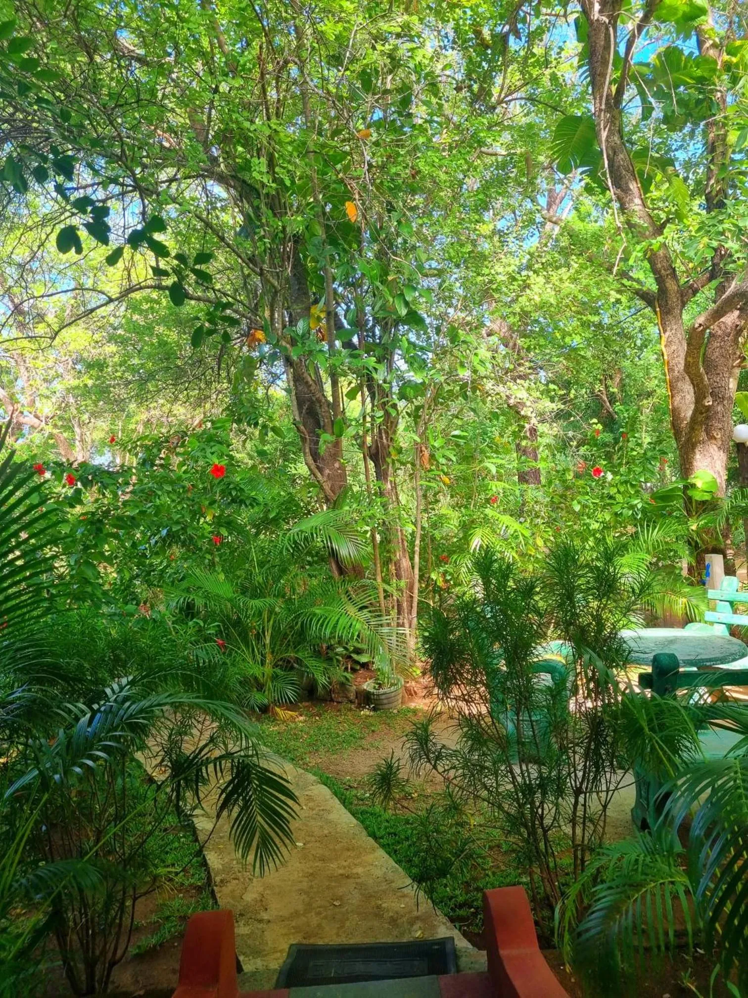 Natural landscape in Sunrise Cottage