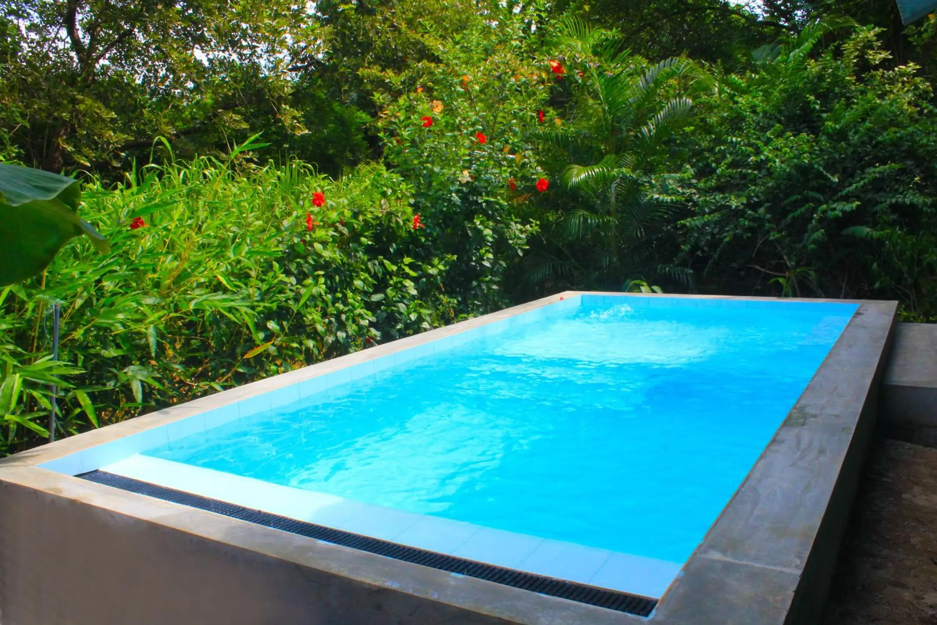 Sunrise Cottage Sunrise Cottage