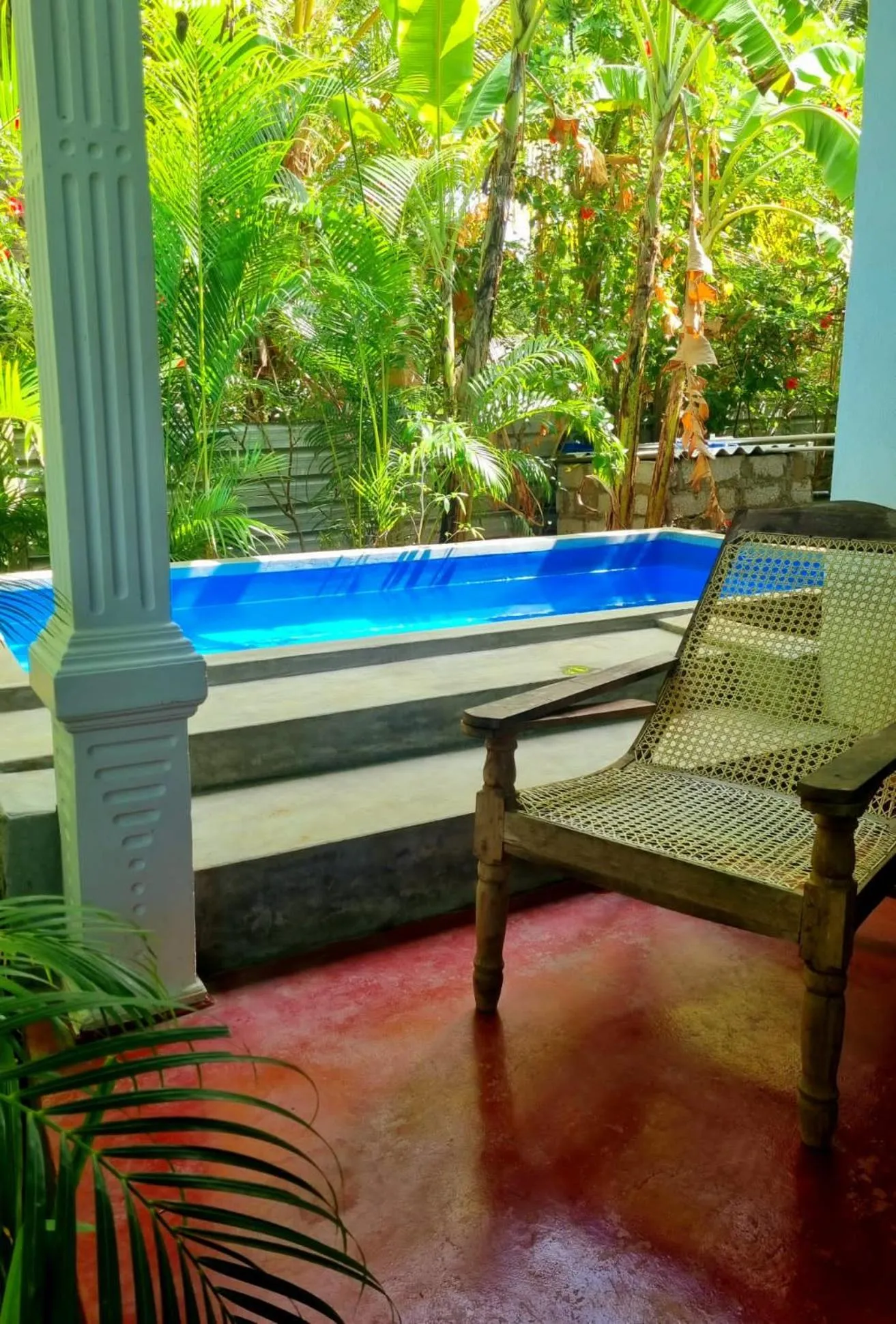 Garden in Sunrise Cottage