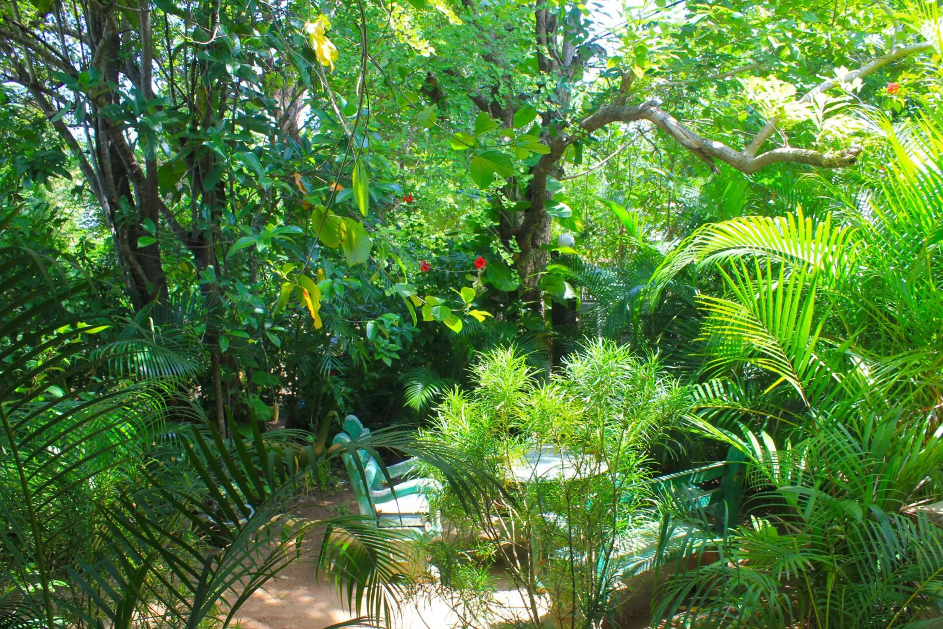 Natural landscape in Sunrise Cottage