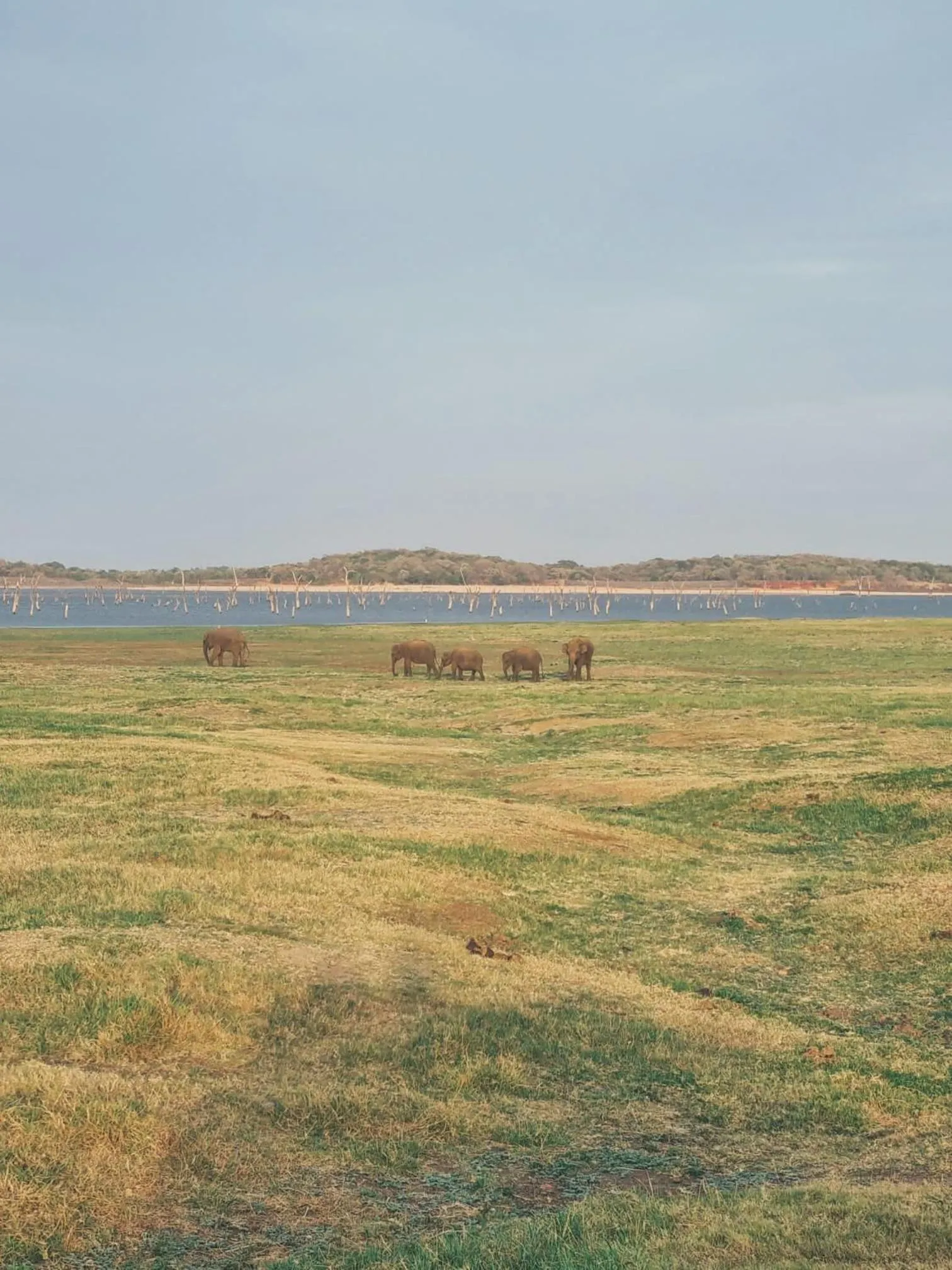 Natural landscape in Sunrise Cottage