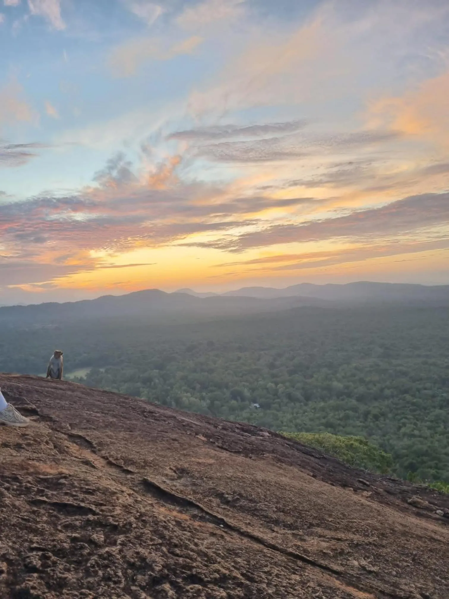 Sunrise in Sunrise Cottage