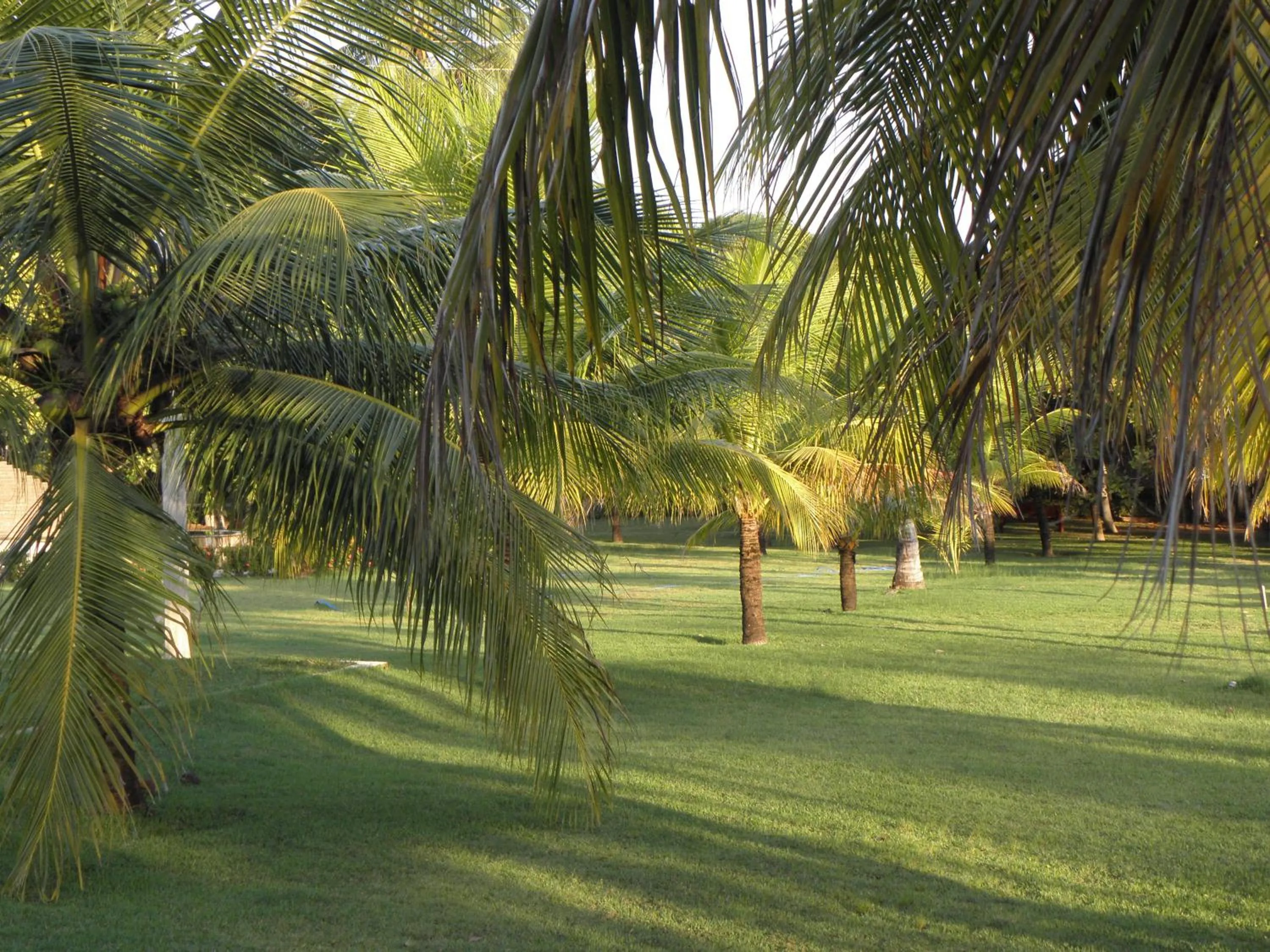 Garden in Praia Dourada Resort Maragogi