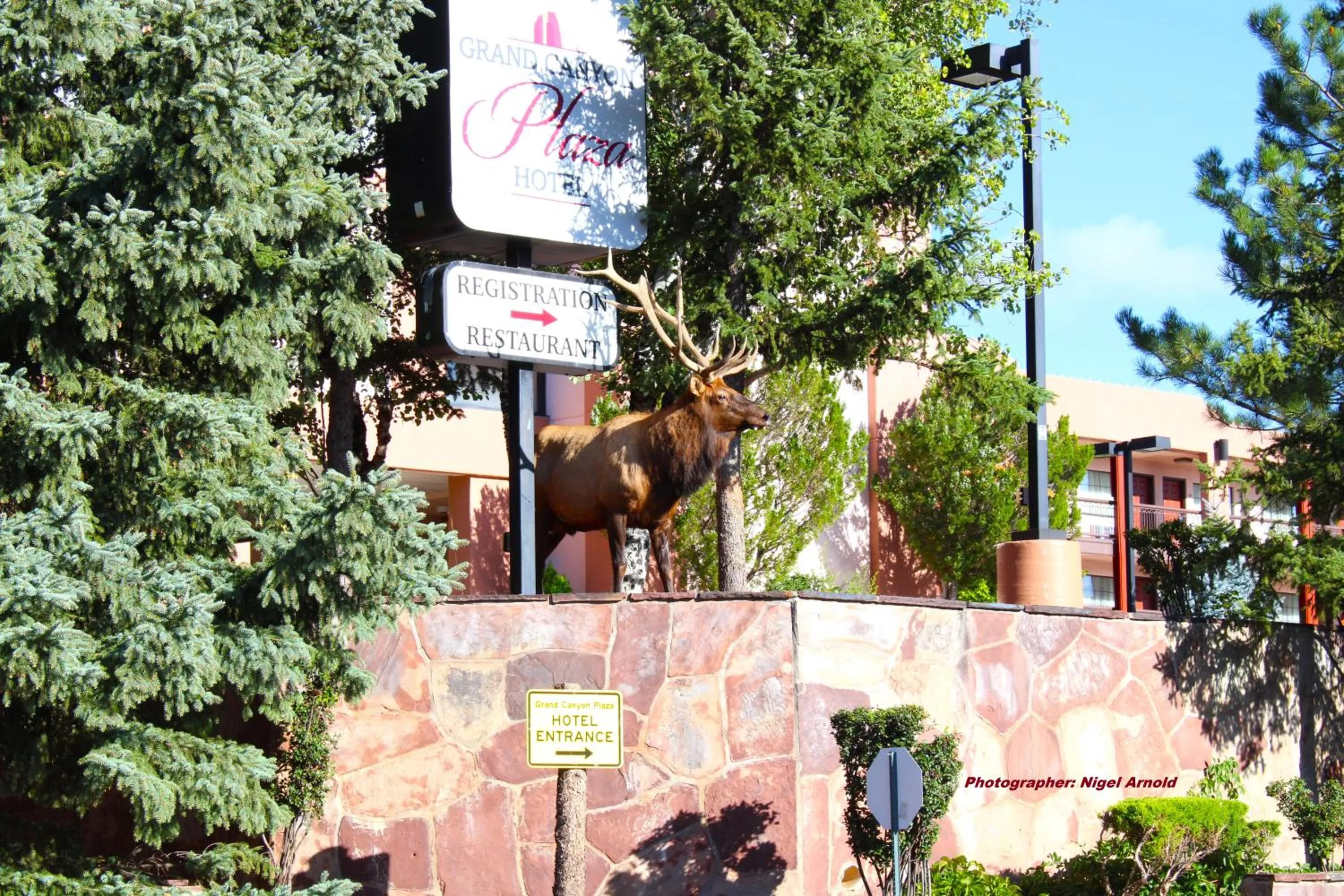 Property building in Grand Canyon Plaza Hotel-South Rim