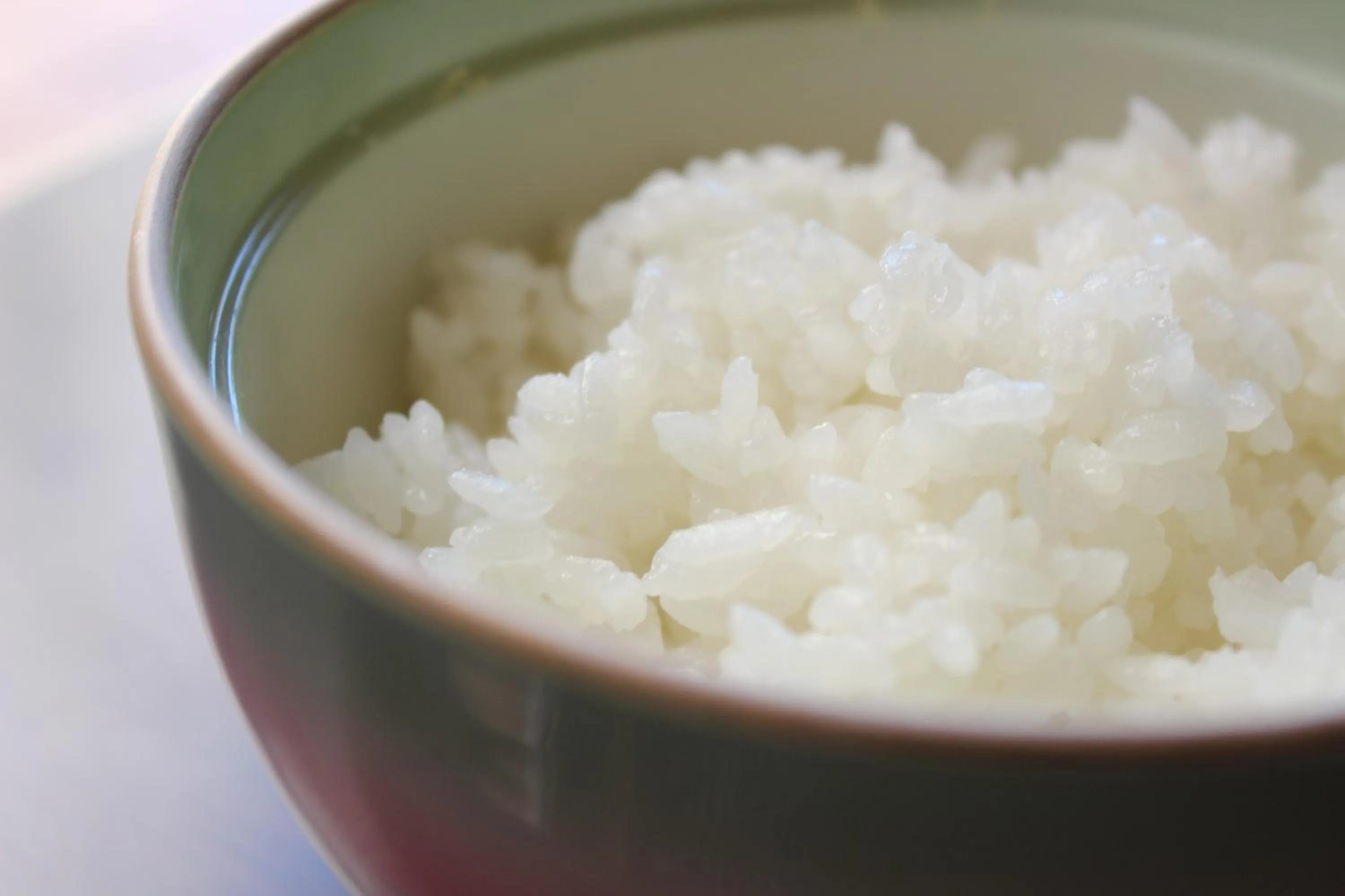 Hotel Grand Plaza Urashima