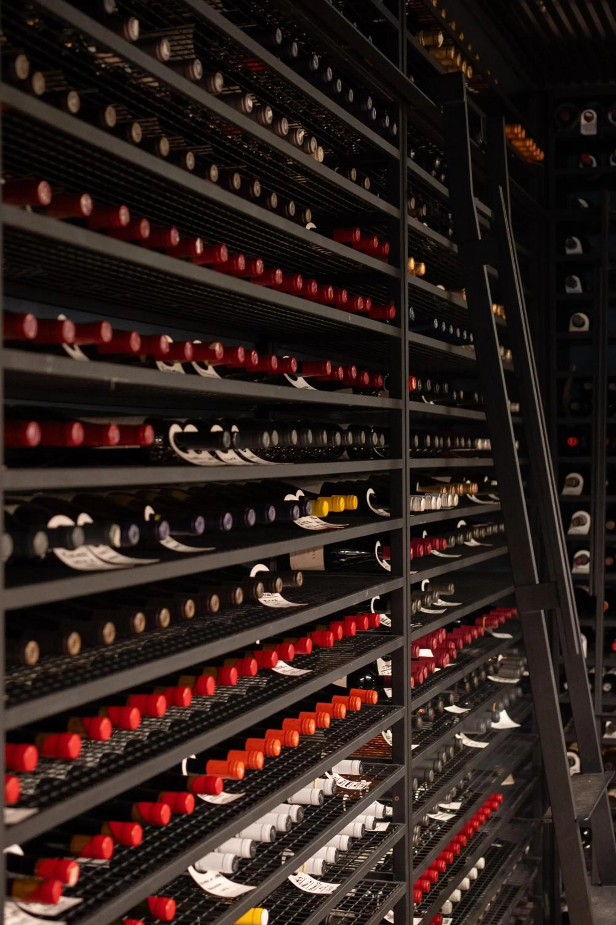 Area and facilities in Fierro Hotel Buenos Aires