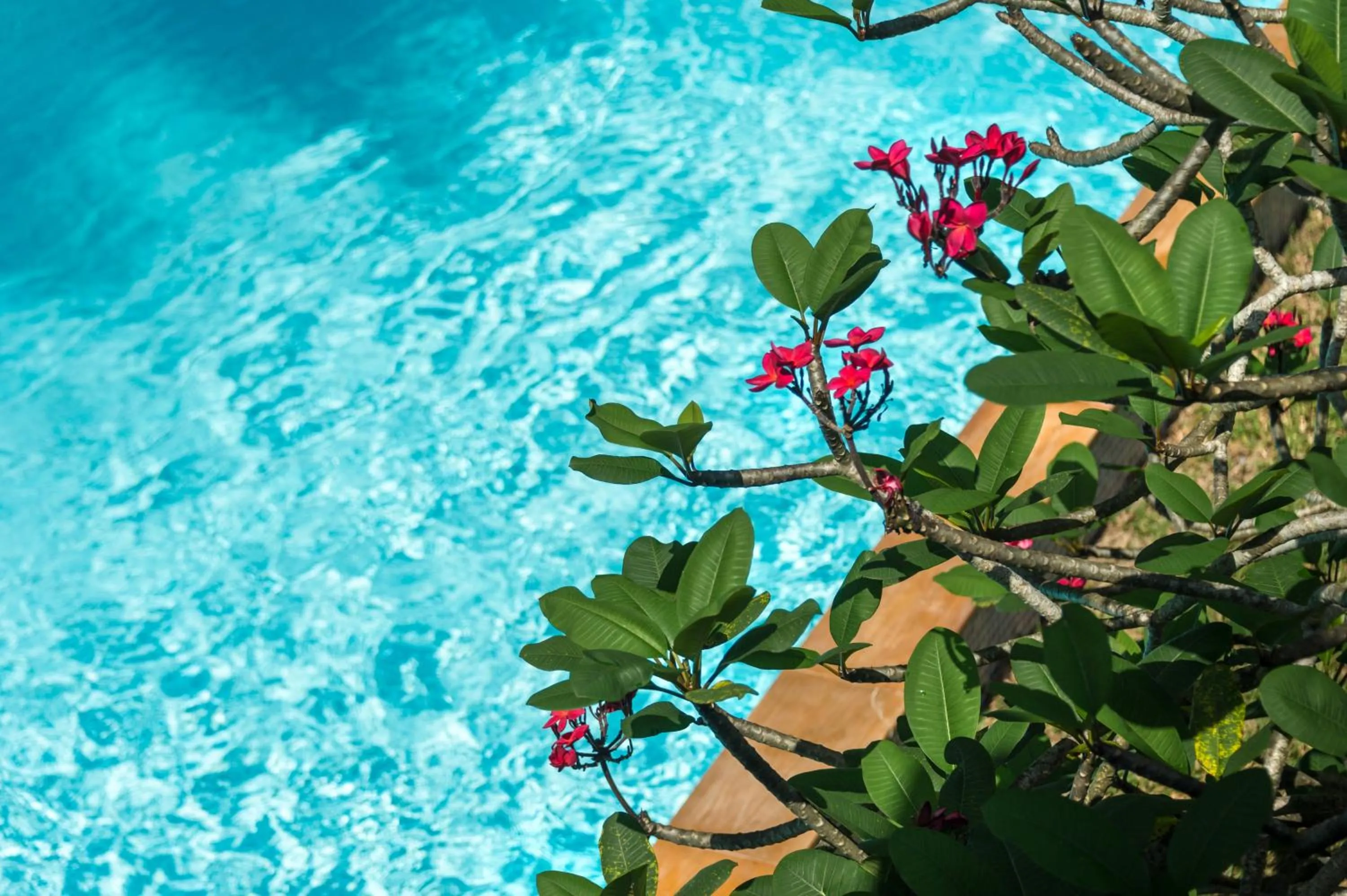 Lanta Thip House by Swiss-Belhotel - SHA Plus