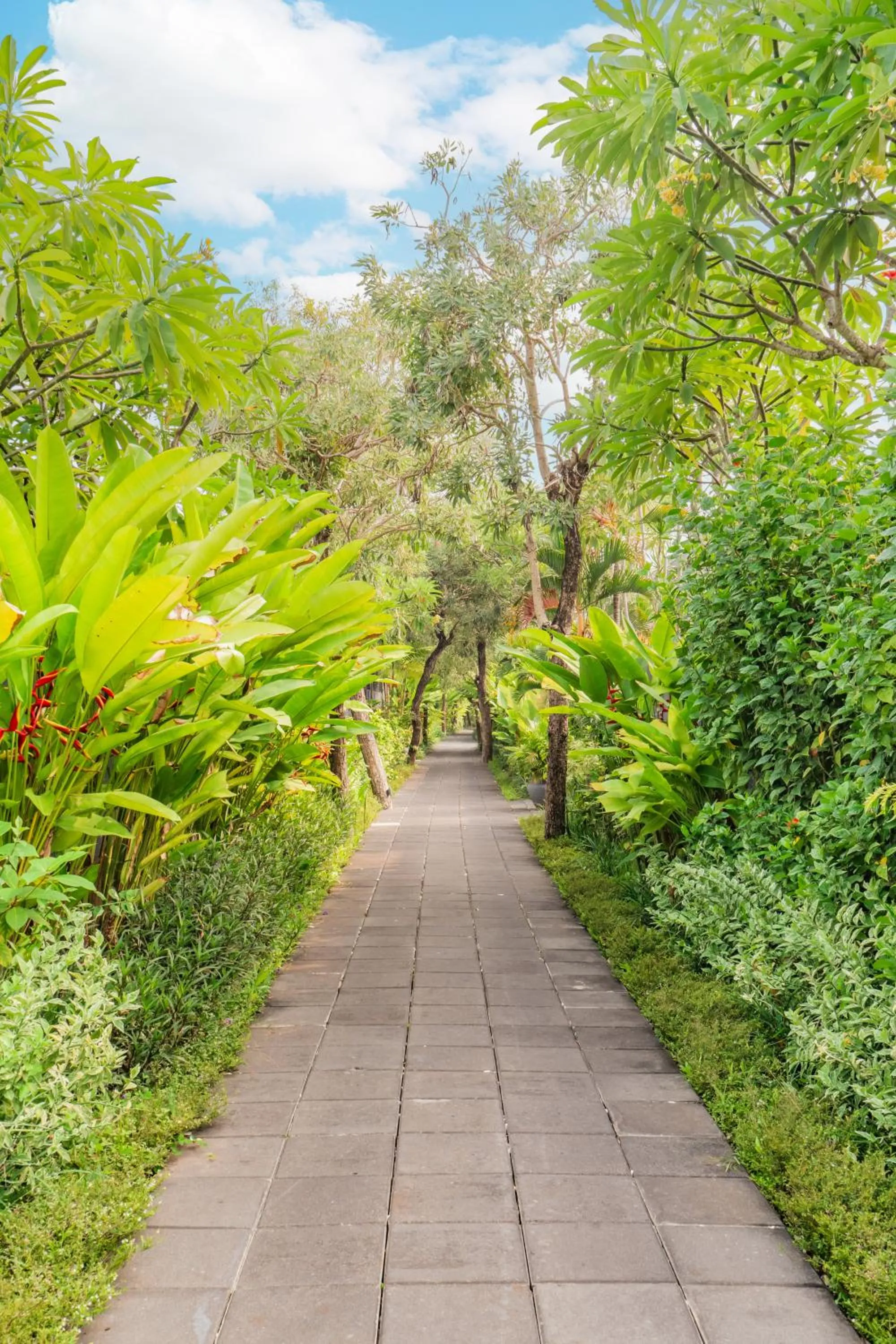 Garden in Javana Royal Villas