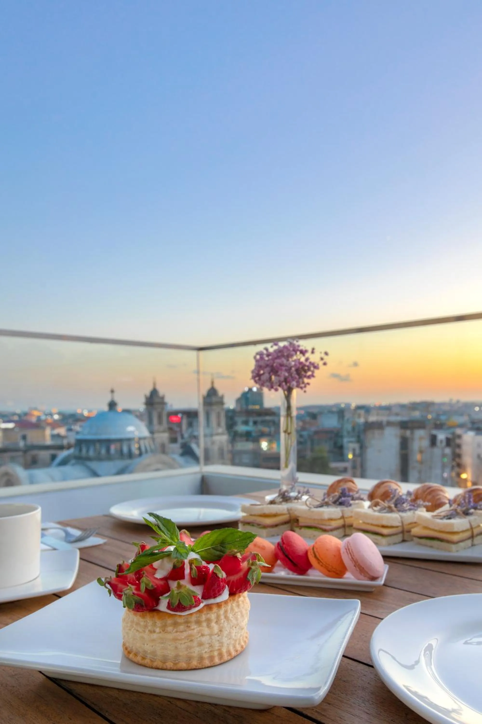 Natural landscape in CVK Taksim Hotel Istanbul