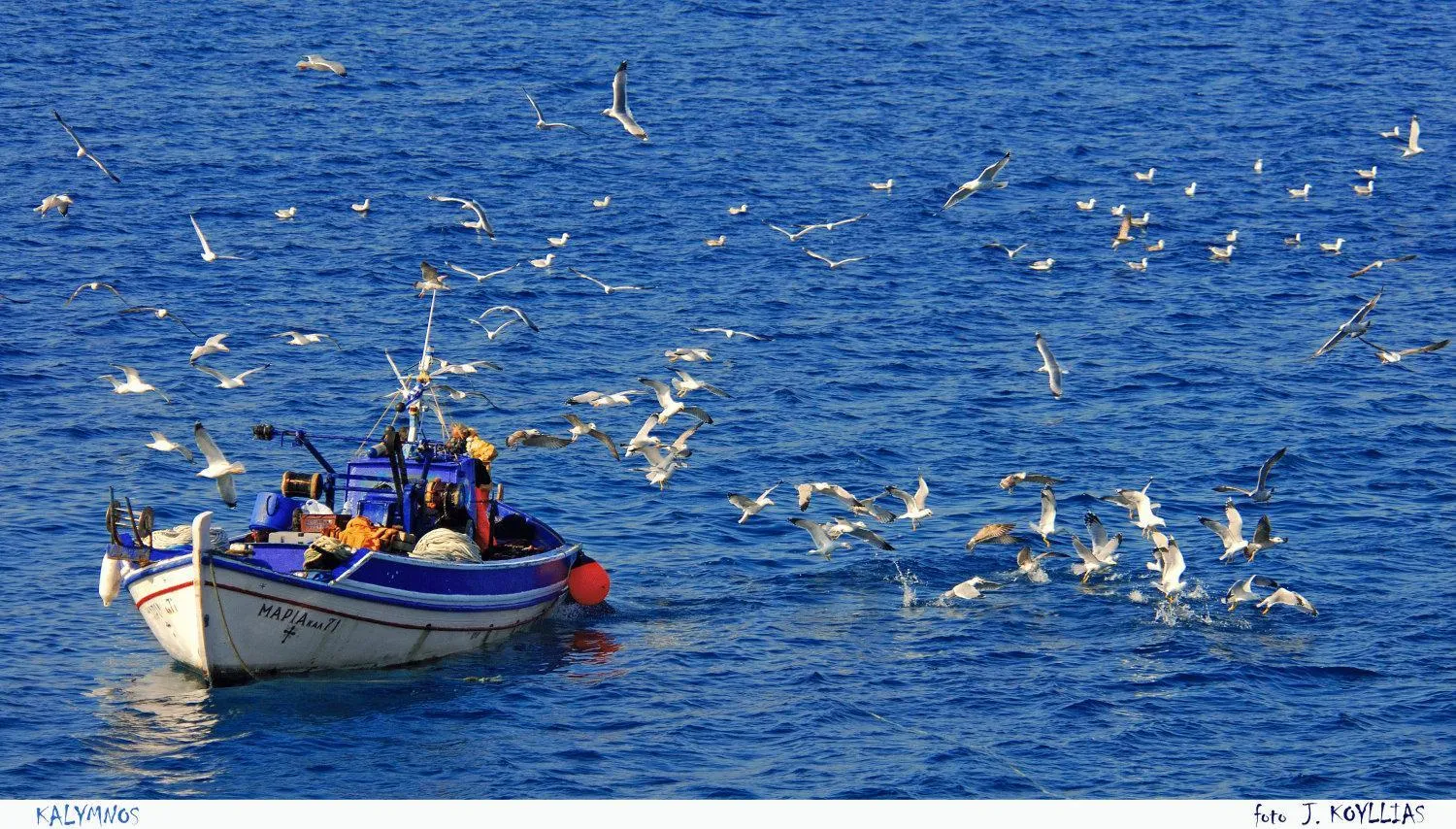 Other in Apollonia Hotel