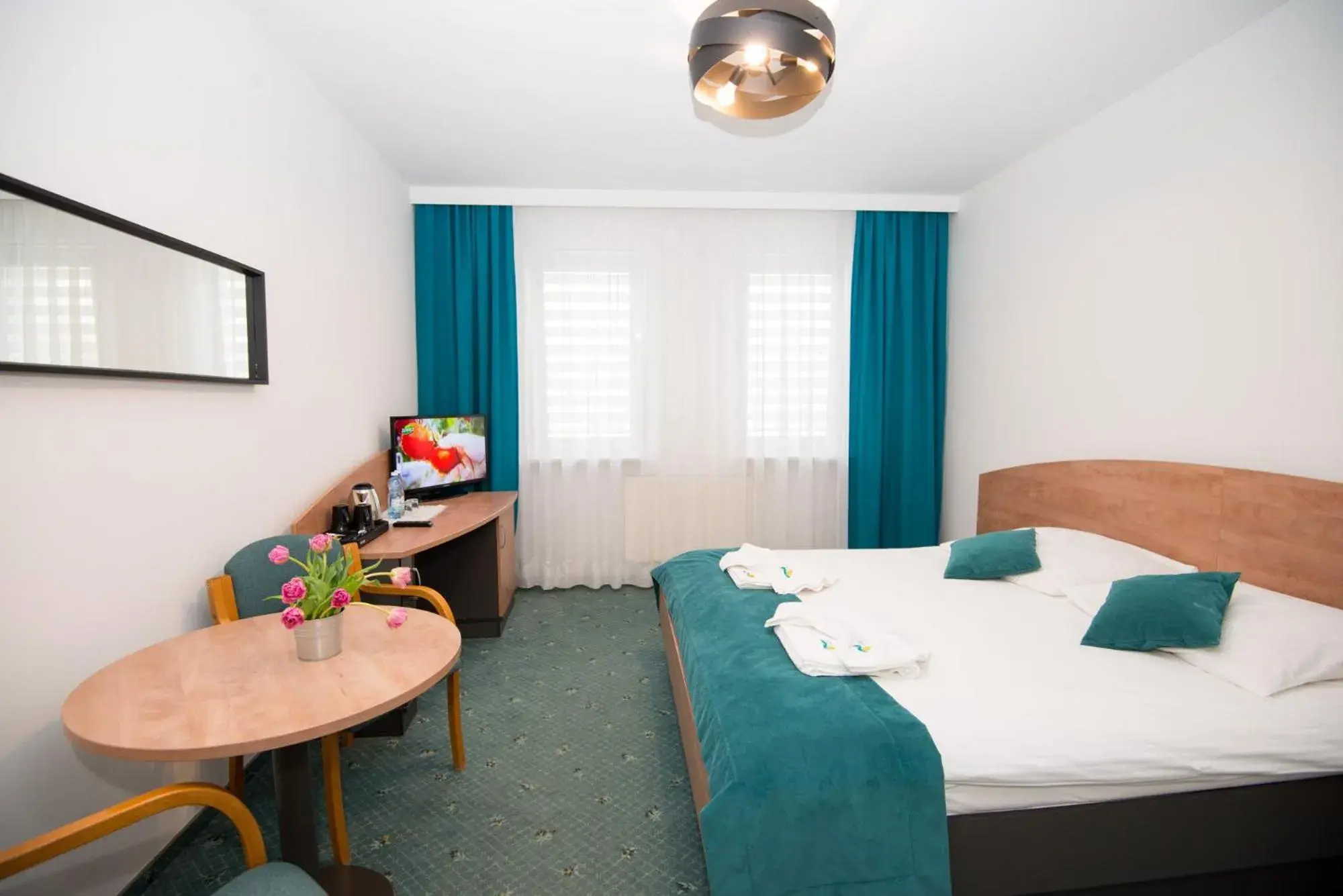 Double Room - single occupancy in Zacisze Nad Nidą Resort Double Room - single occupancy in Zacisze Nad Nidą Resort