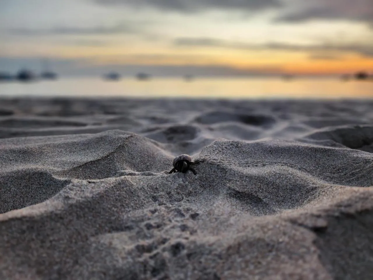 Beach in Kantiang Bay View Resort