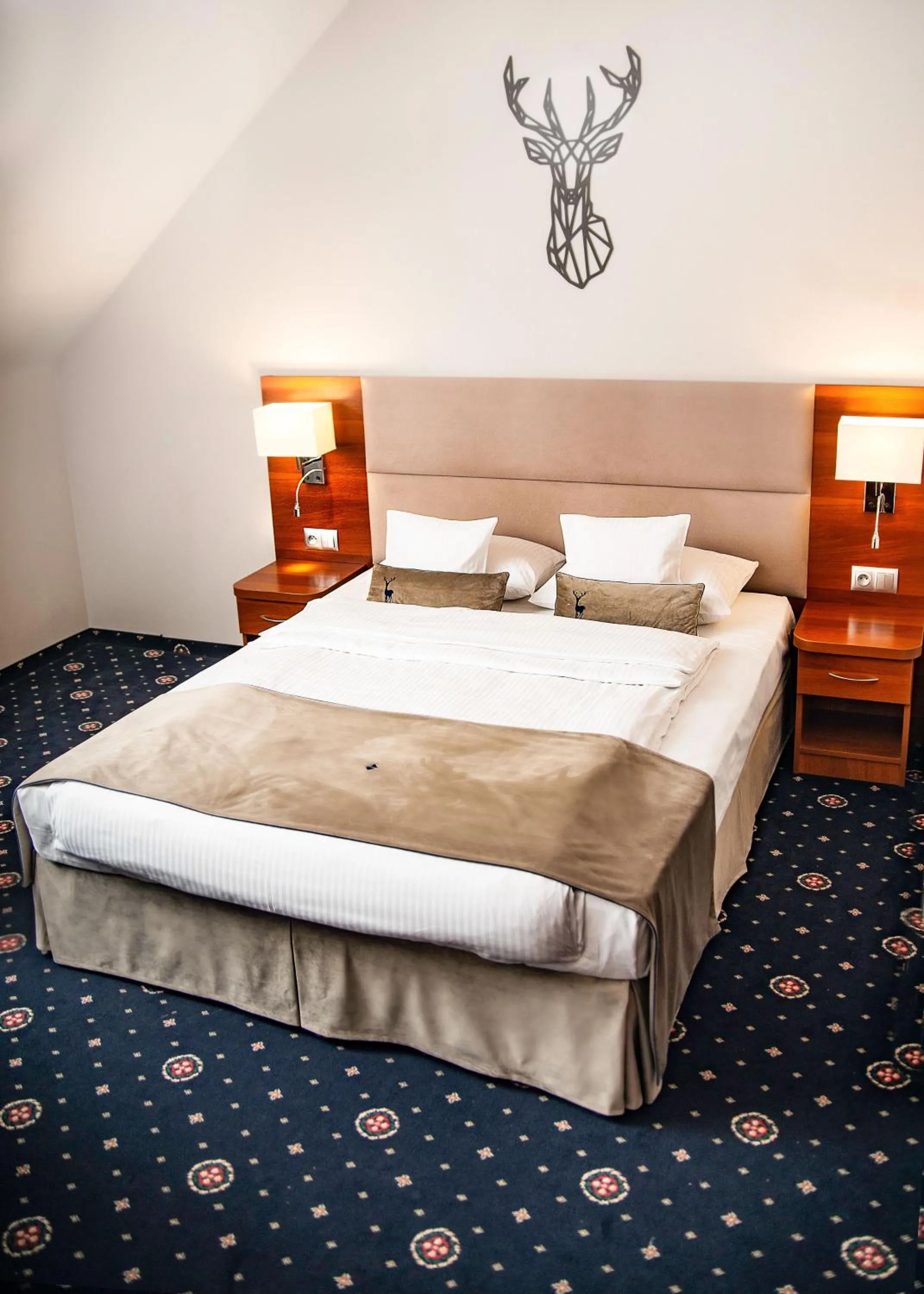 Bed in ParkHotel Łysoń