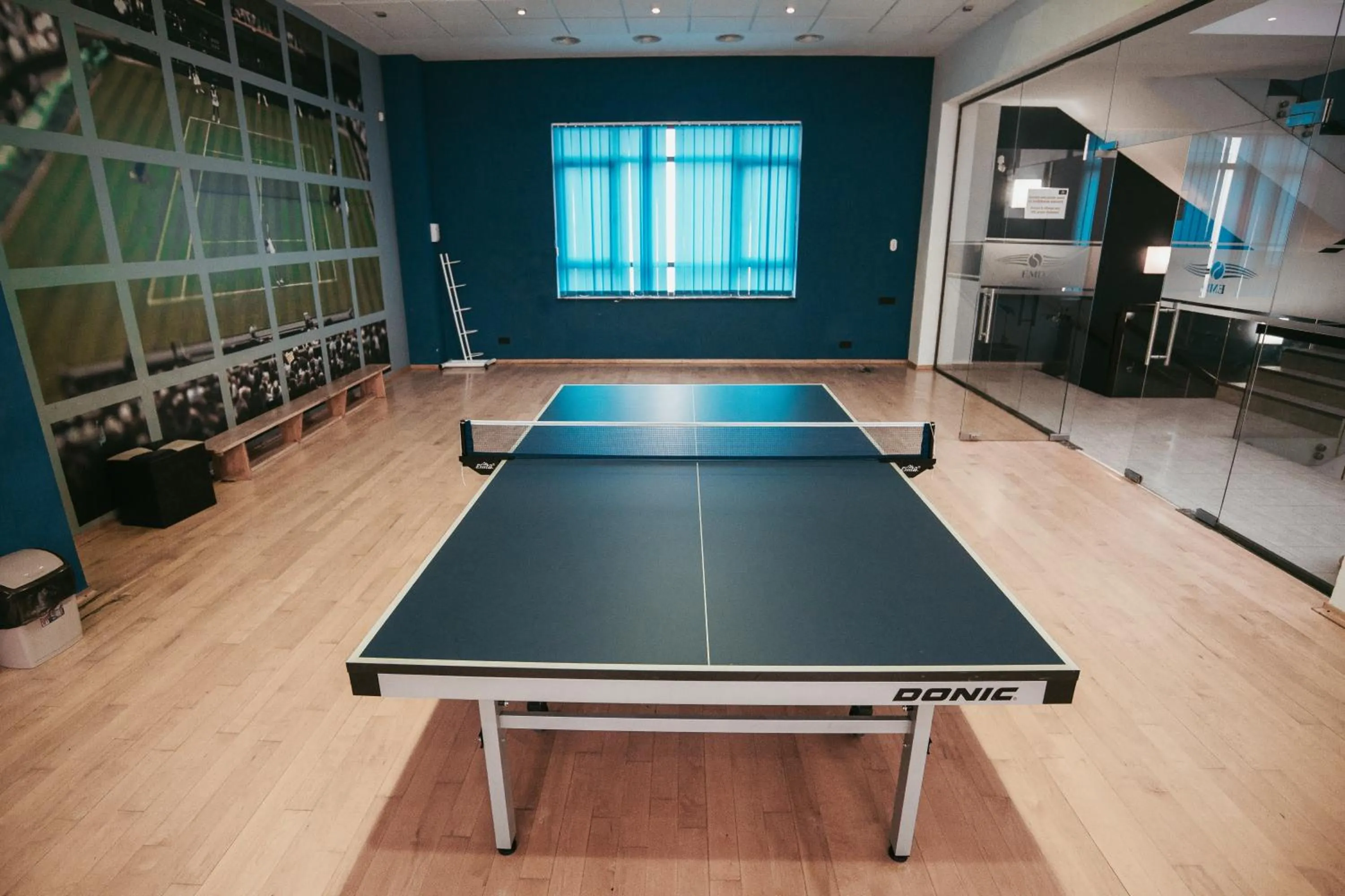 Table tennis in Hotel EMD