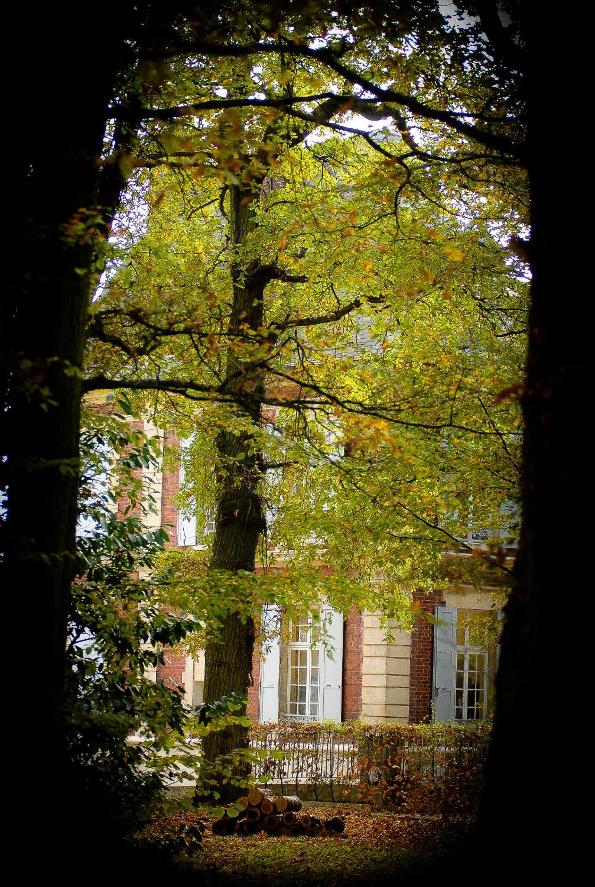 Natural landscape in Hôtel Château de l'Hermitage