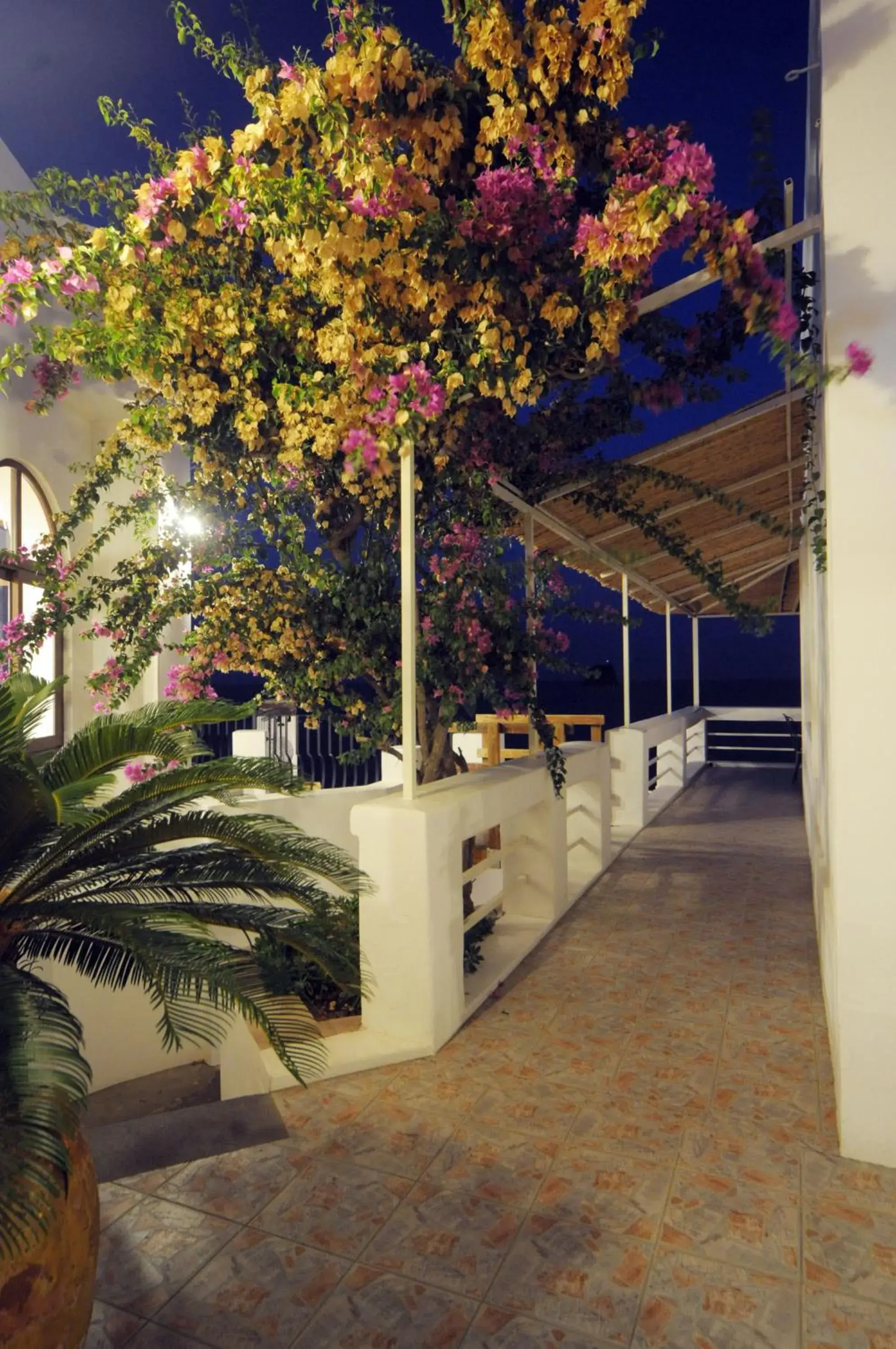 Facade/entrance in Hotel Villaggio Stromboli - isola di Stromboli