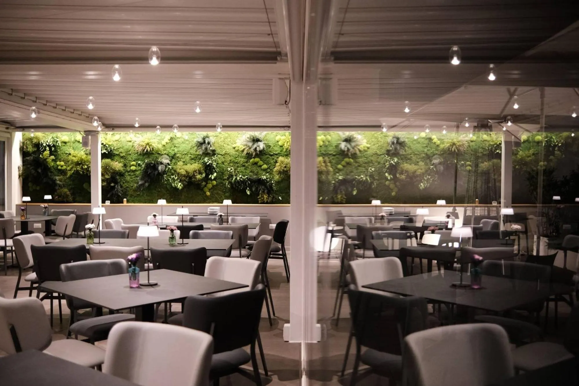 Restaurant/places to eat in Hotel Medinblu