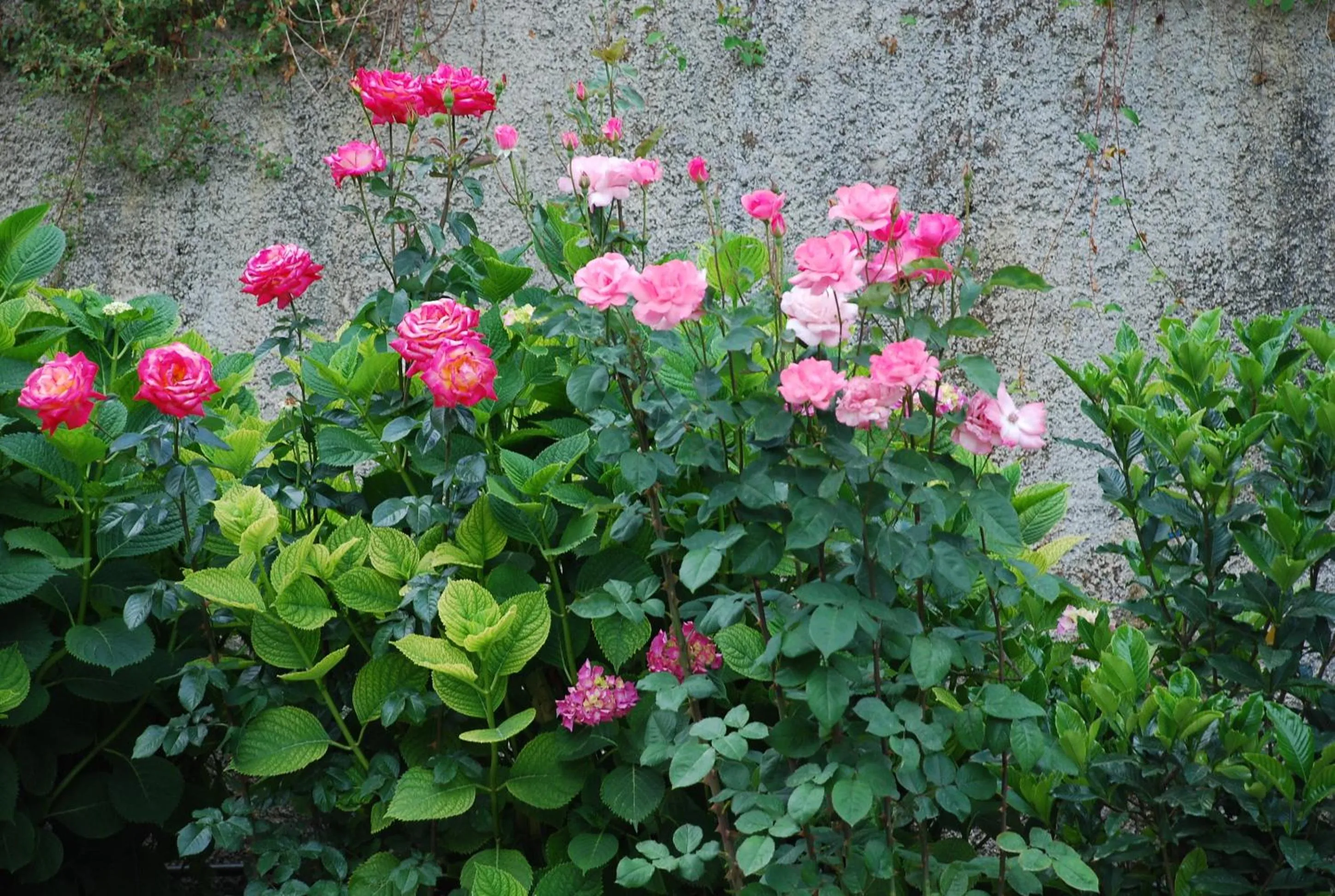 Facade/entrance in Hotel Agnadi - Horefto