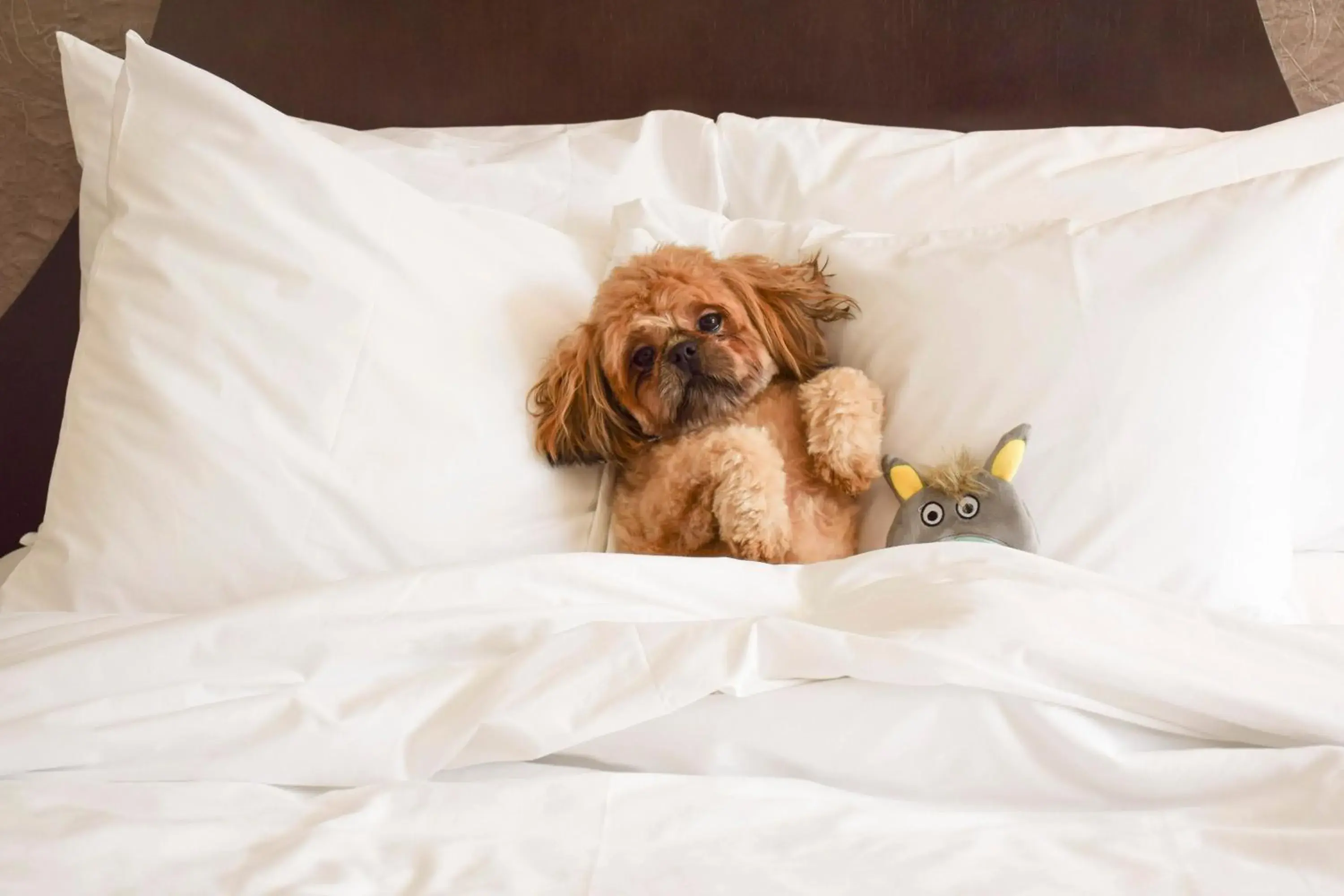 La Banque Hotel La Banque Hotel