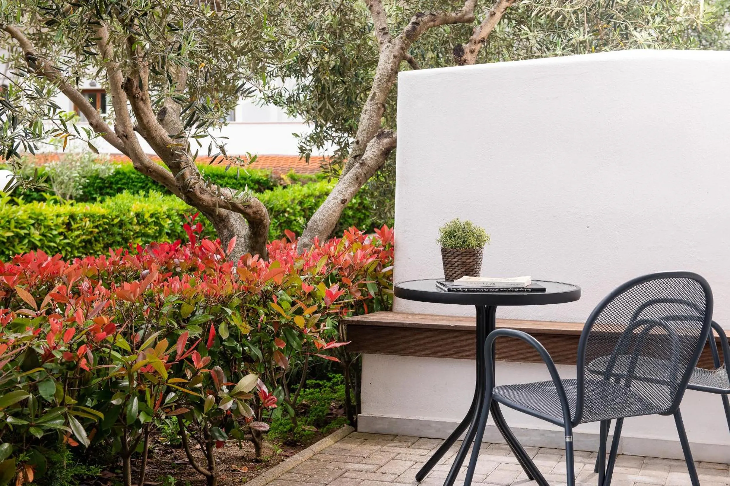 Photo of the whole room in Alexandros Palace