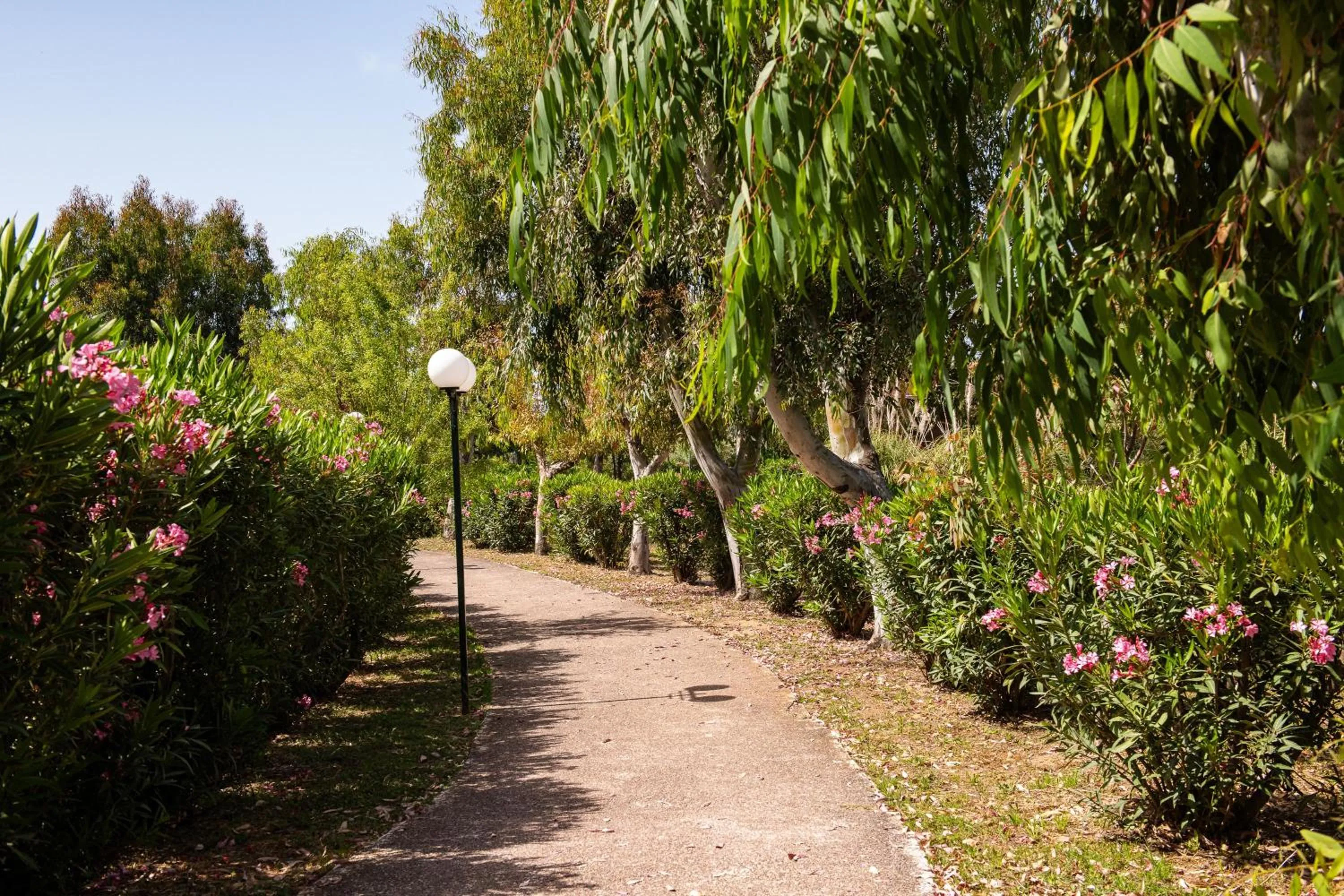 Garden in Alexandros Palace