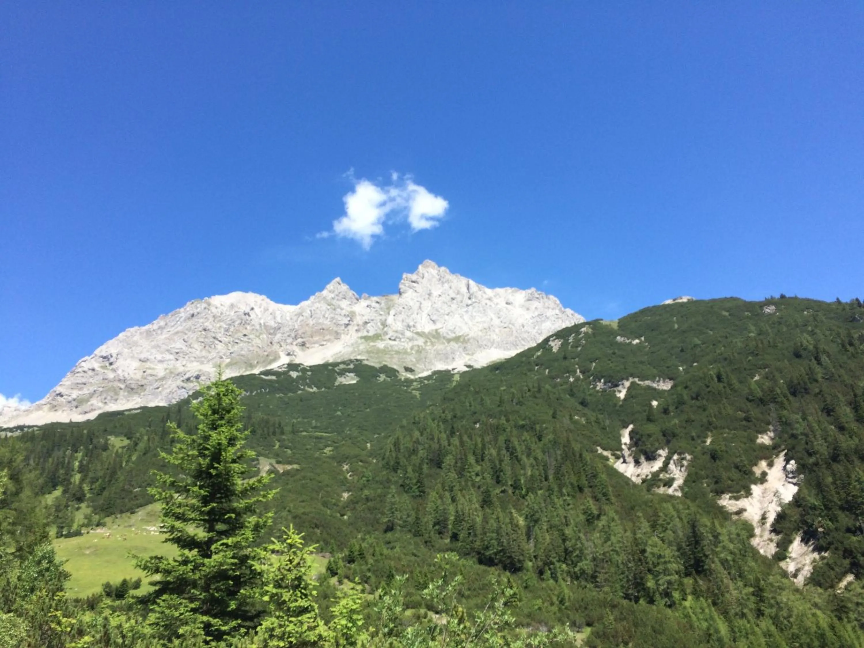 Day in Pension Aschlandhof