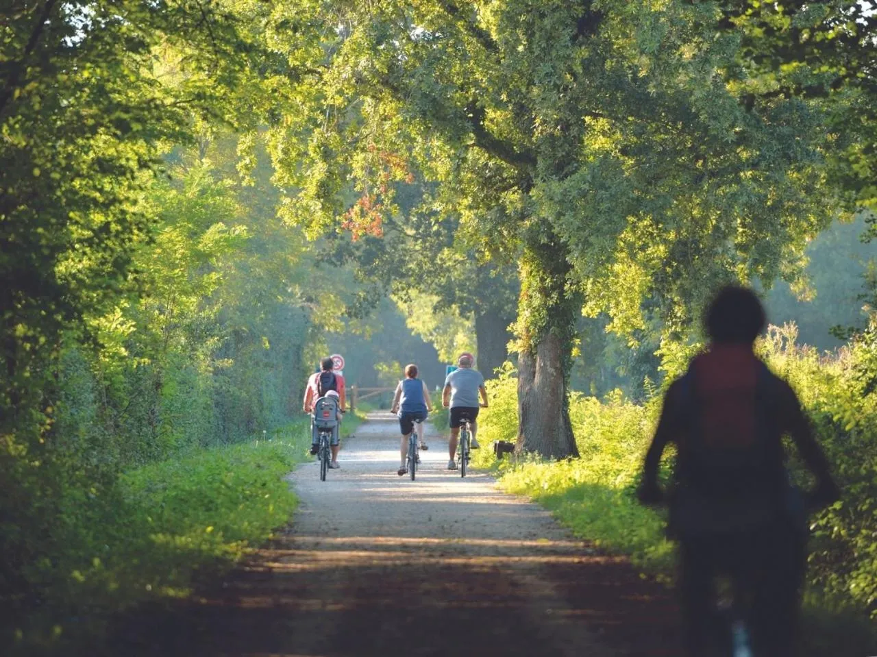 Cycling in Grand Hôtel de Bourbon-Lancy - Spa et Restaurant - Logis