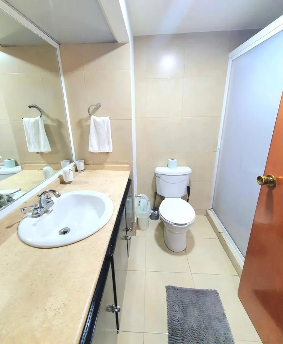 Apartment in Departamento De Lujo Lamartine