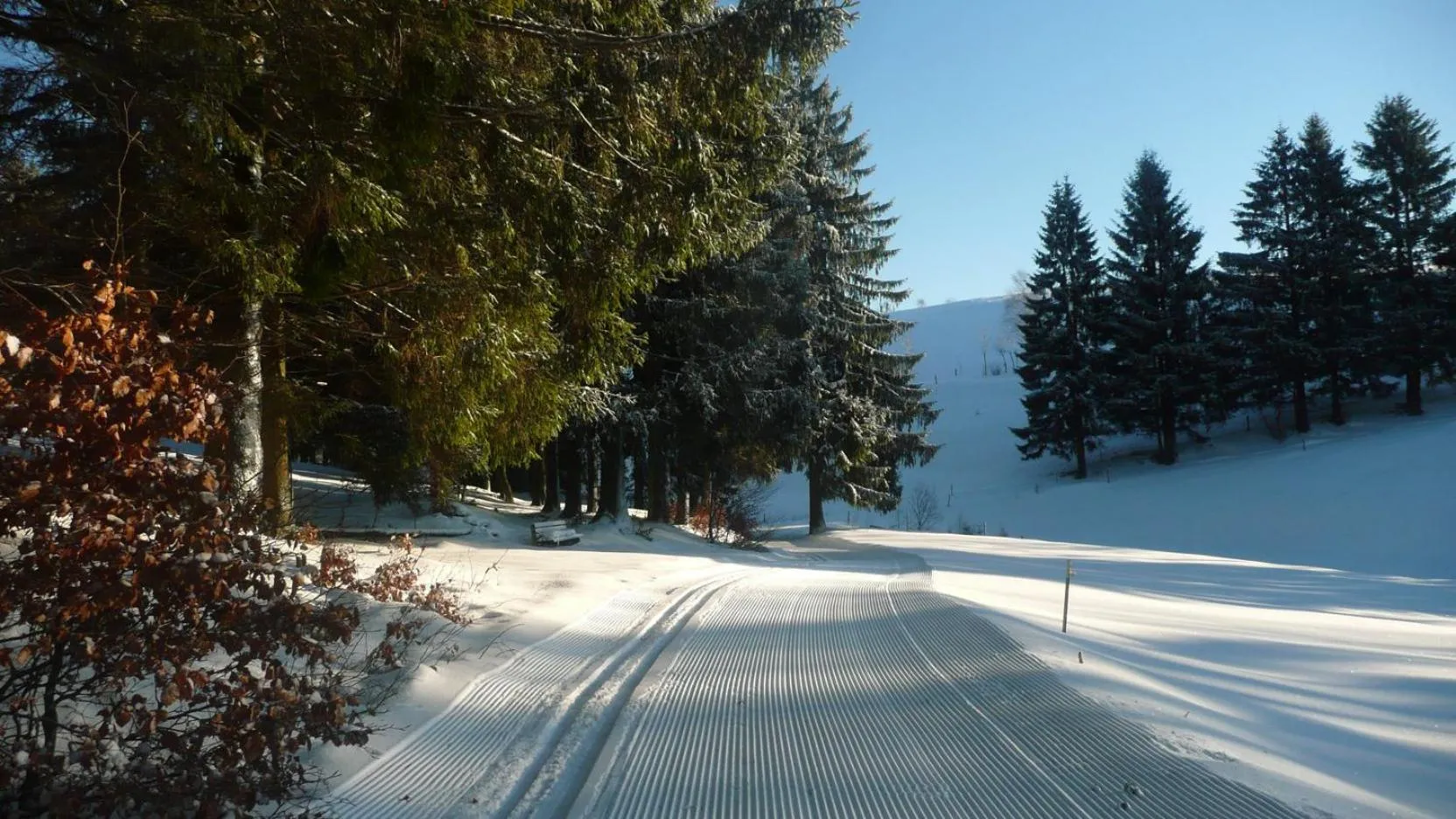 Natural landscape in Familien-Hotel Am Tränkbachtal Frauenwald
