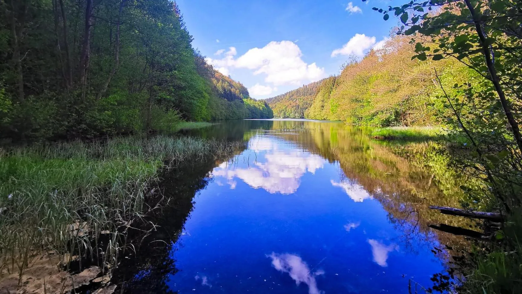 Natural landscape in Familien-Hotel Am Tränkbachtal Frauenwald