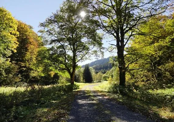 Spring in Familien-Hotel Am Tränkbachtal Frauenwald