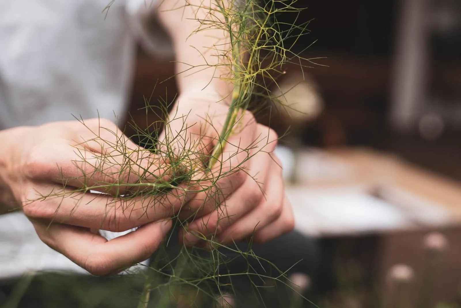 People in Bergrose Hideaway