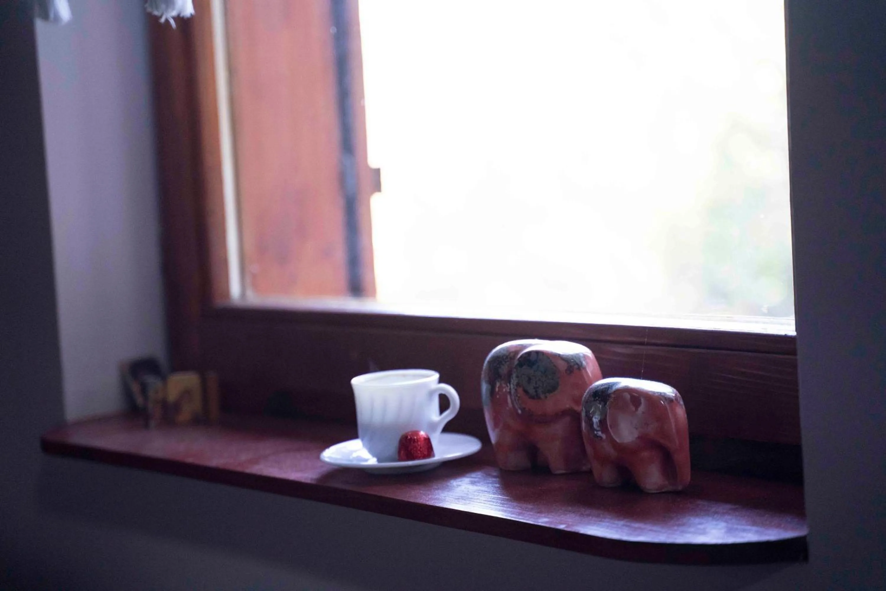 Coffee/tea facilities in Apartments Holiday Home Srce