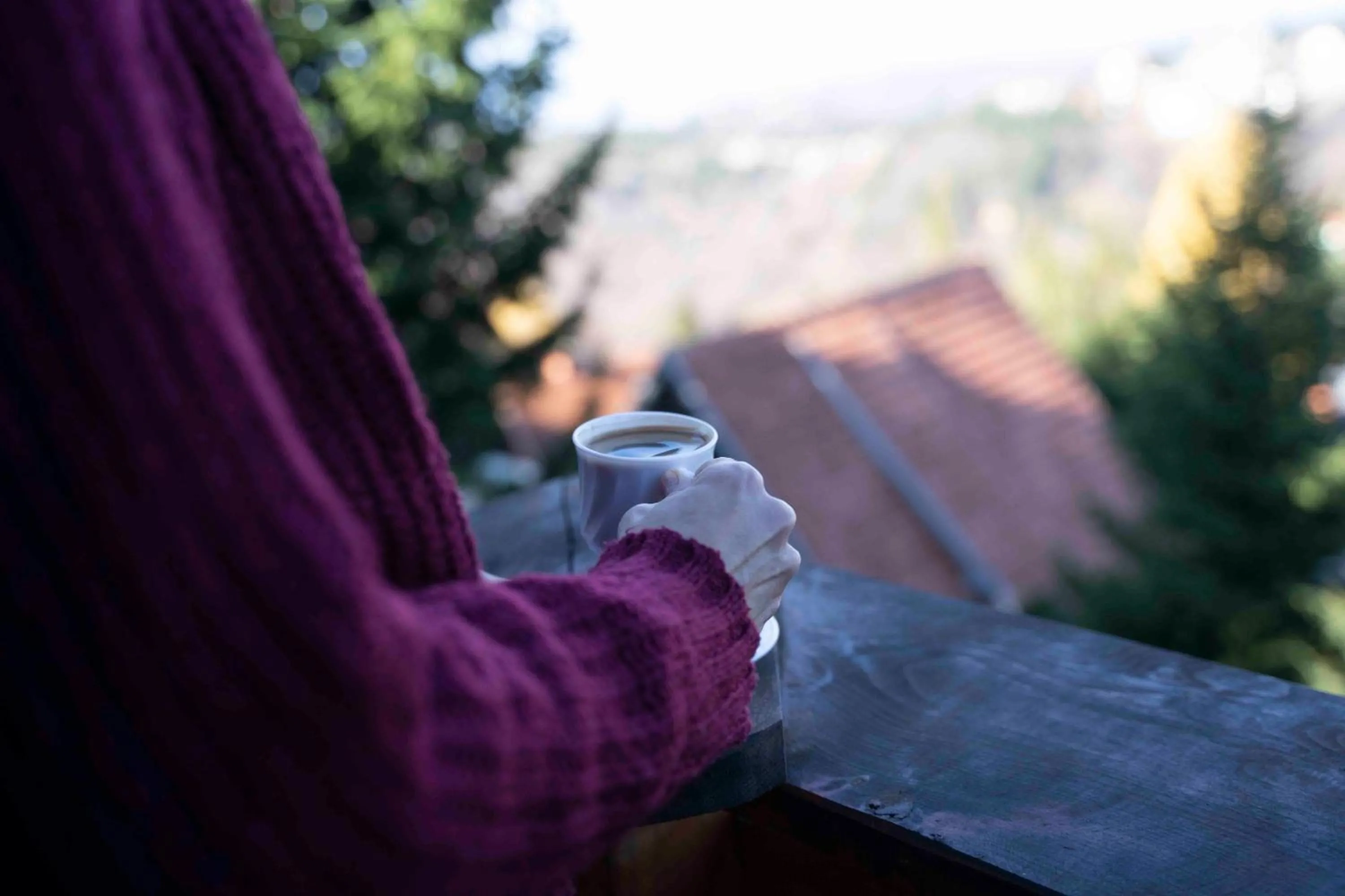 View (from property/room) in Apartments Holiday Home Srce