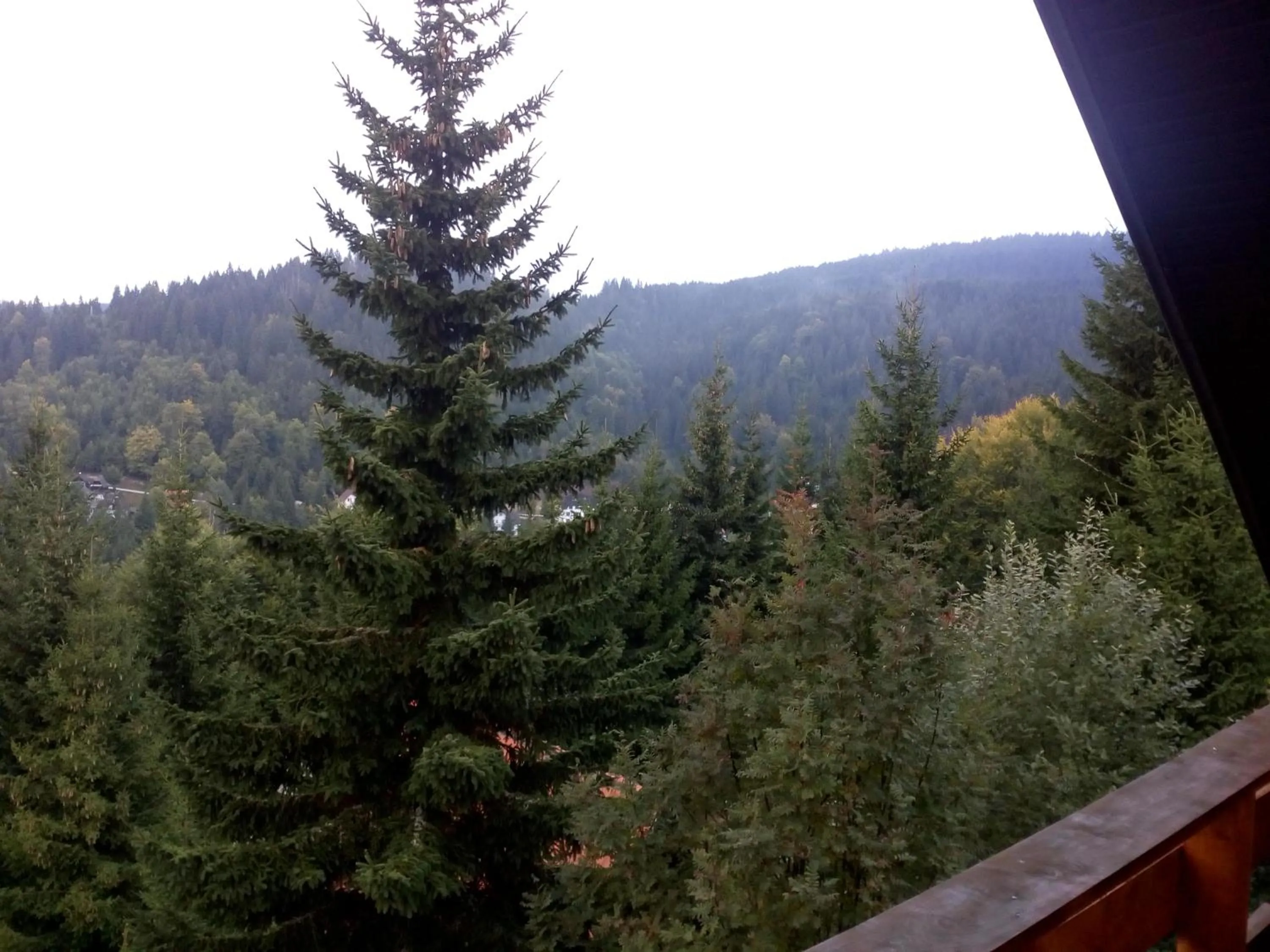 Mountain view in Apartments Holiday Home Srce