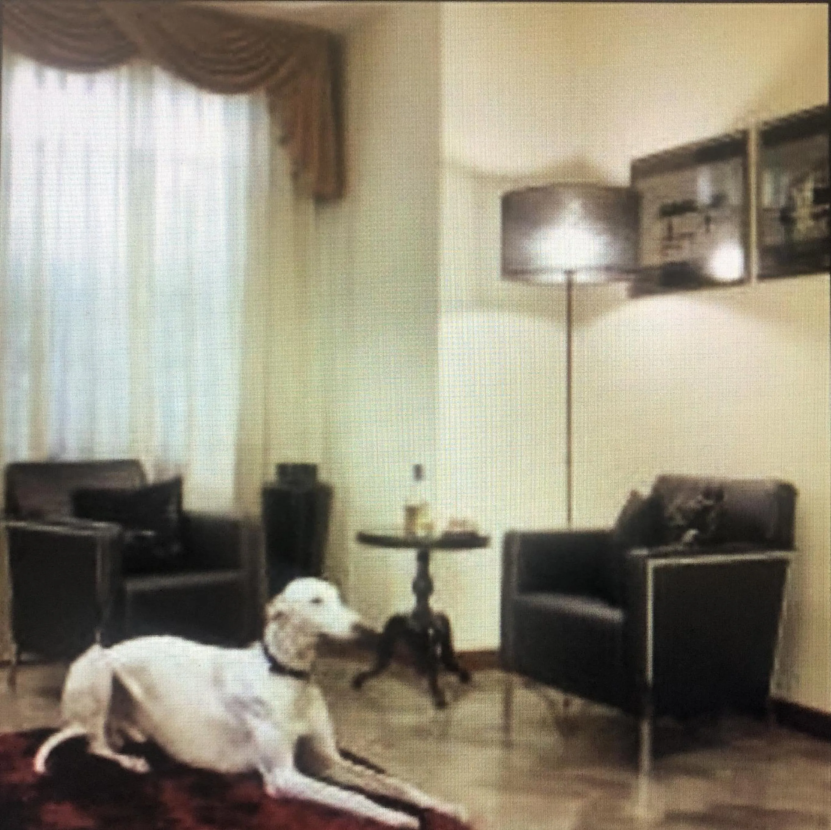 ACasaMia WelcHome Hotel