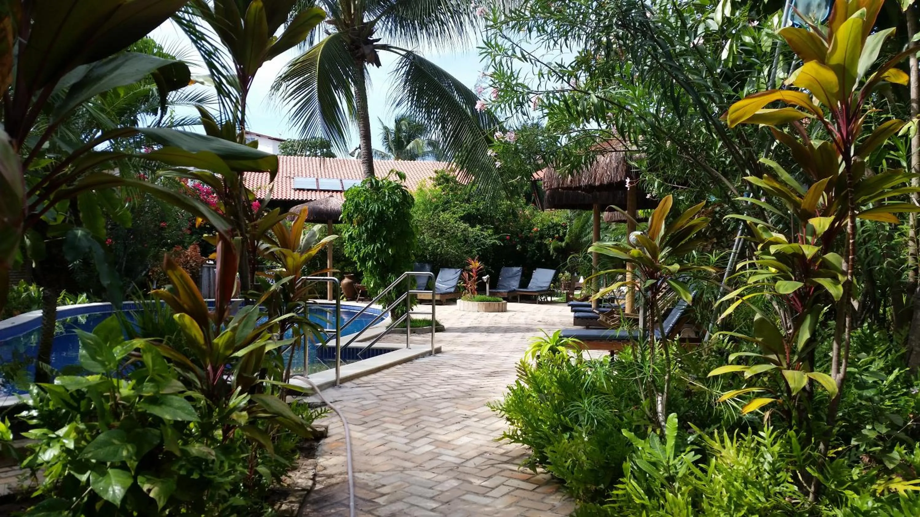 Swimming pool in Pousada Coco Fresco