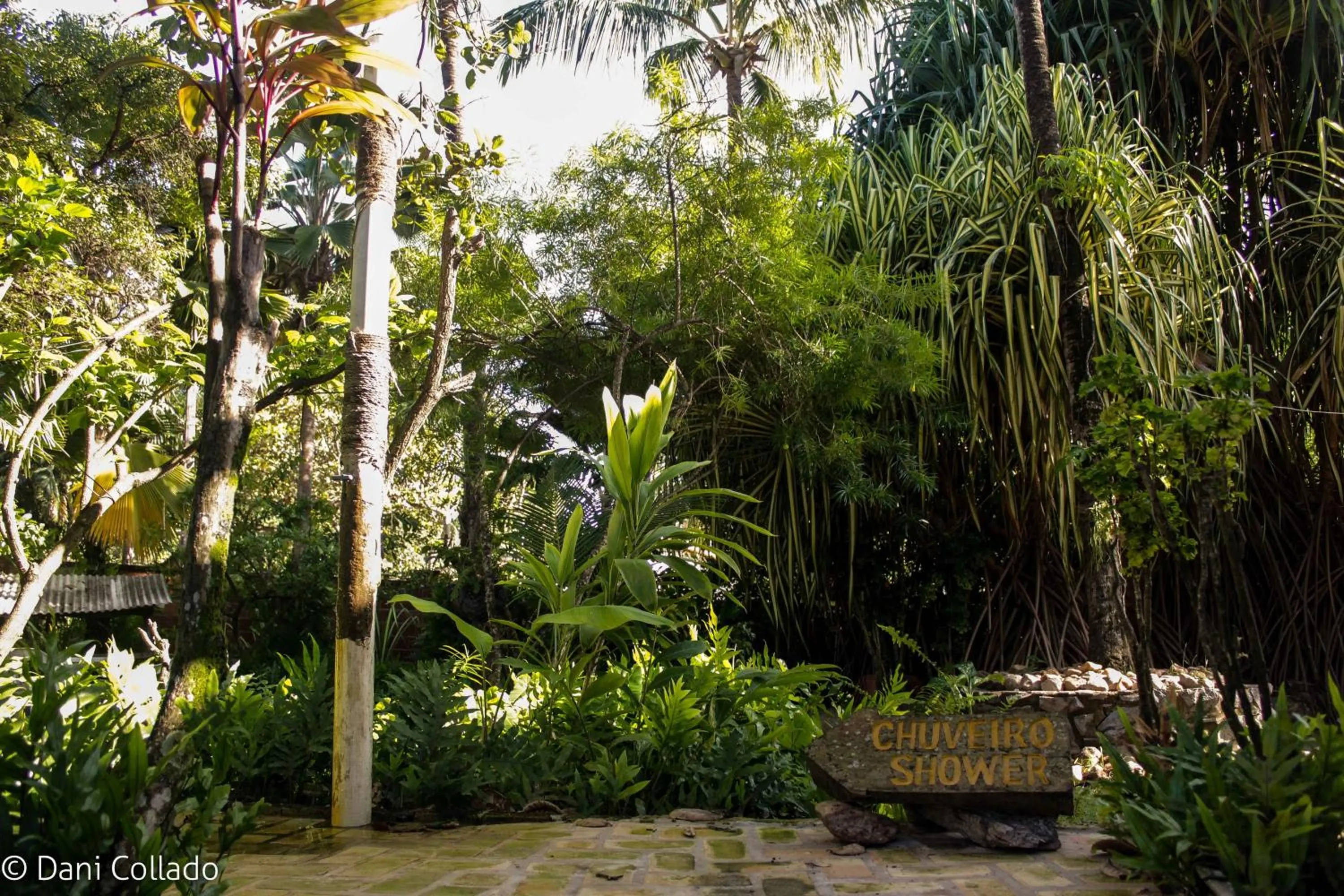 Day in Pousada Coco Fresco