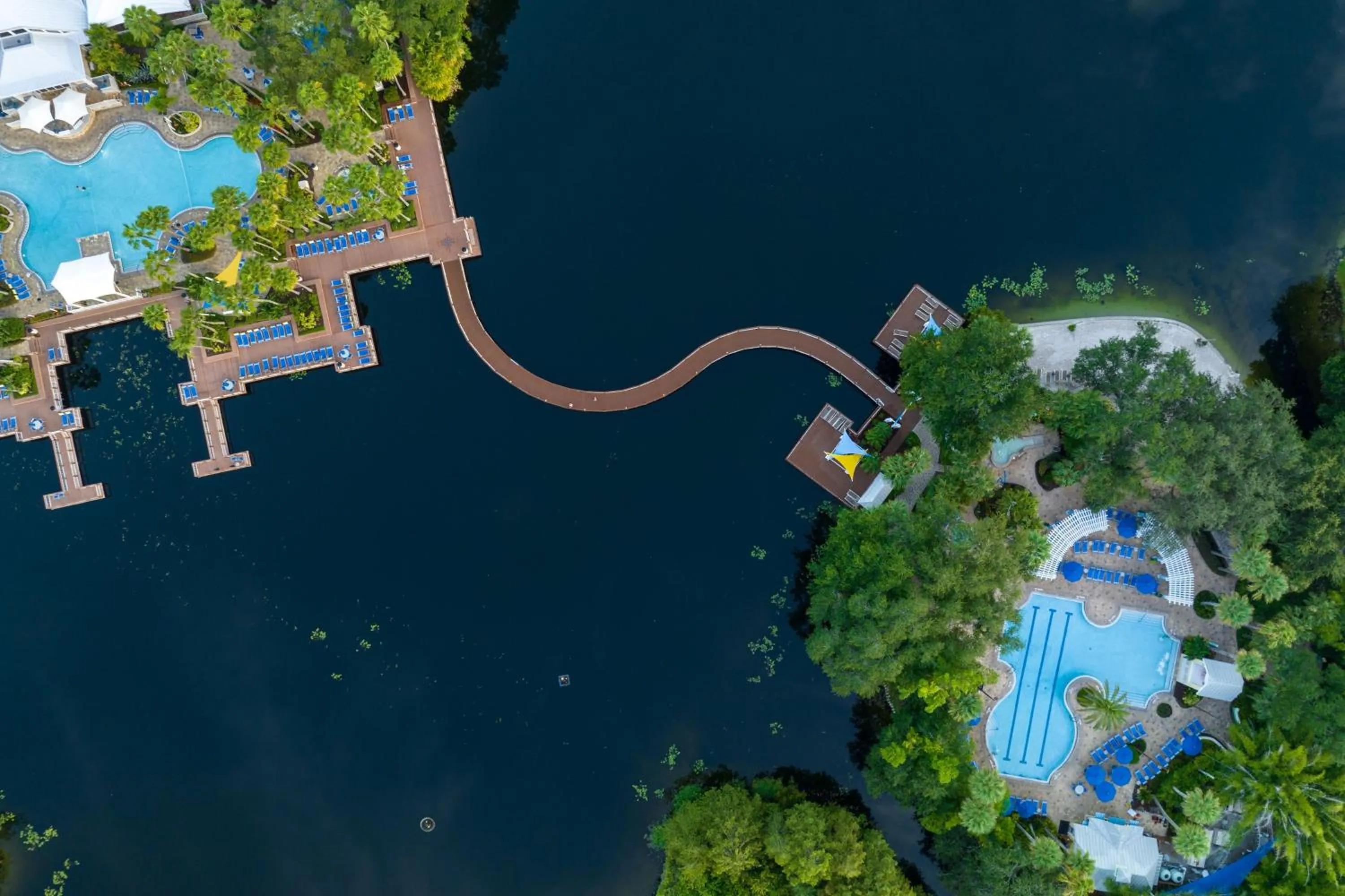 Swimming pool in Marriott's Cypress Harbour Villas