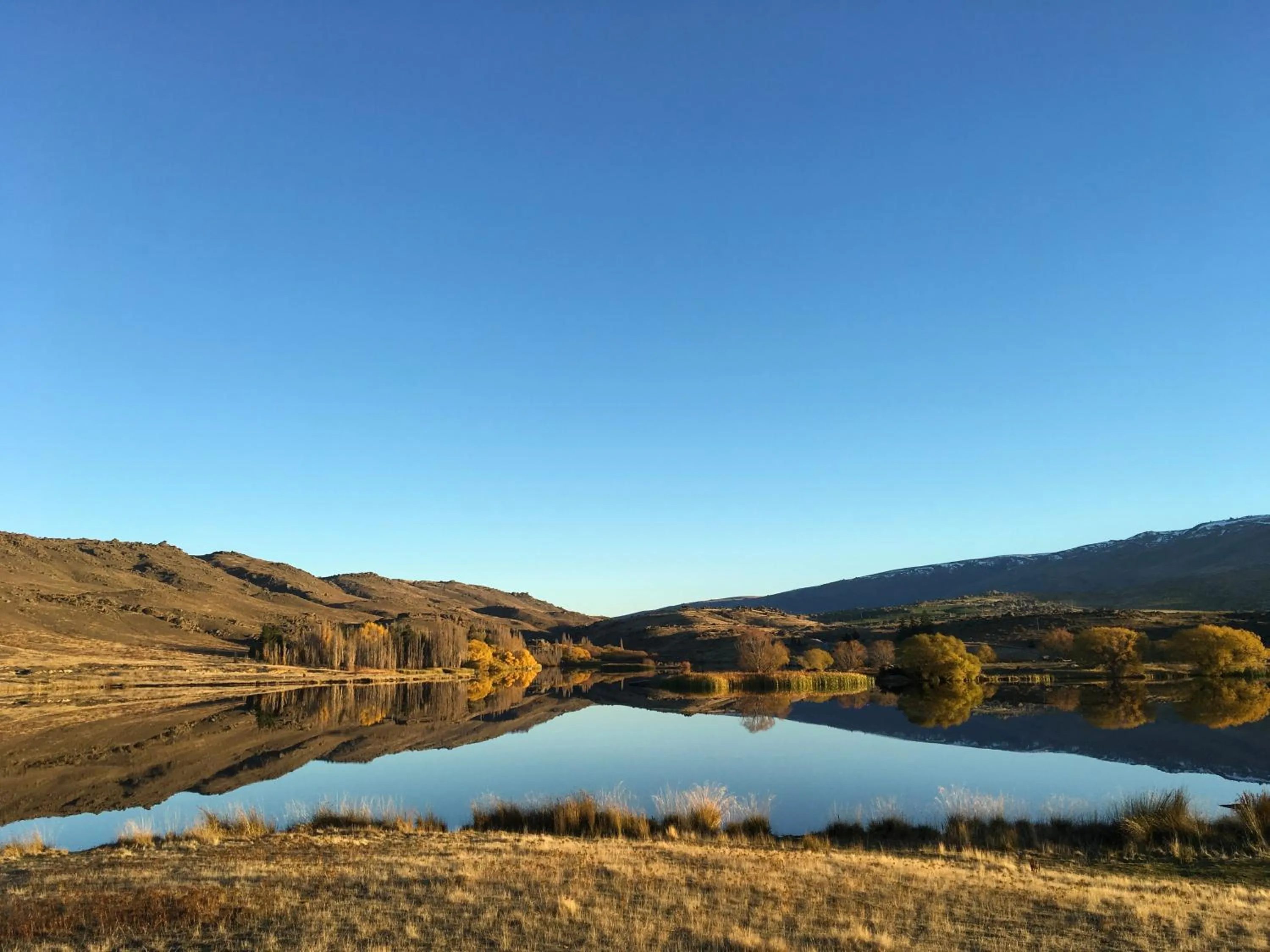 Natural landscape in Lye Bow Lake Suite