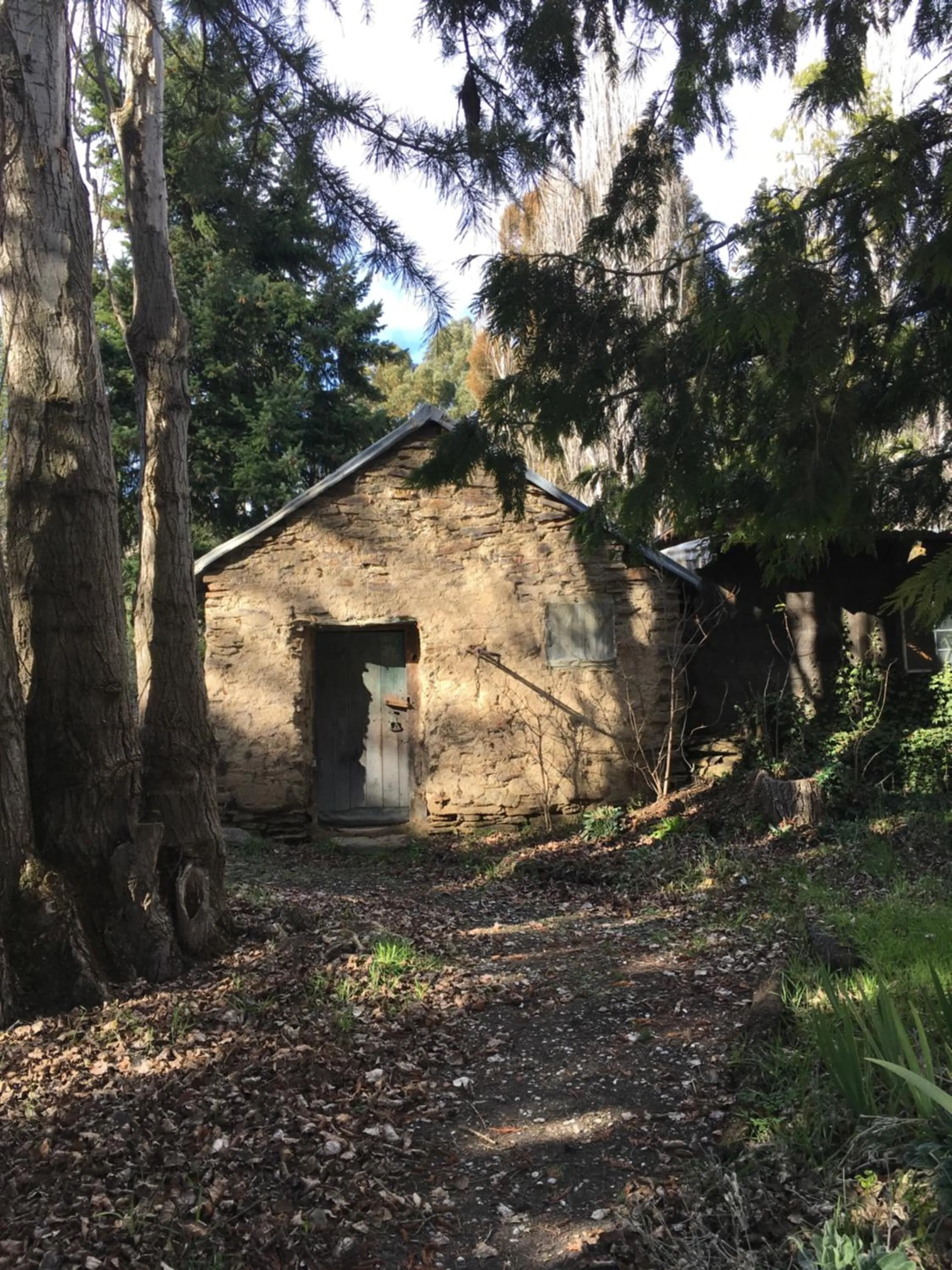 Garden in Lye Bow Lake Suite