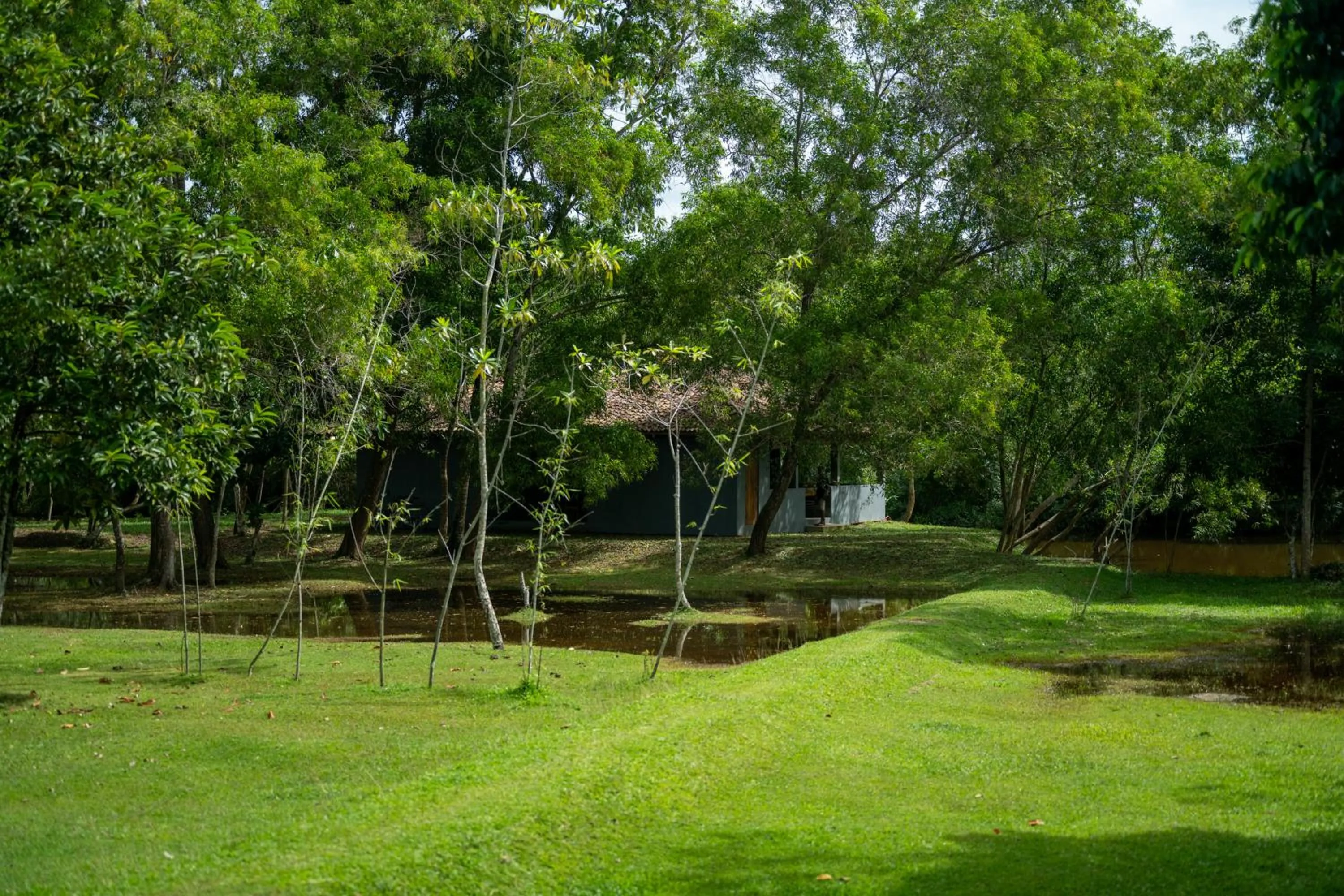 View (from property/room) in Wirdana Resort & Spa