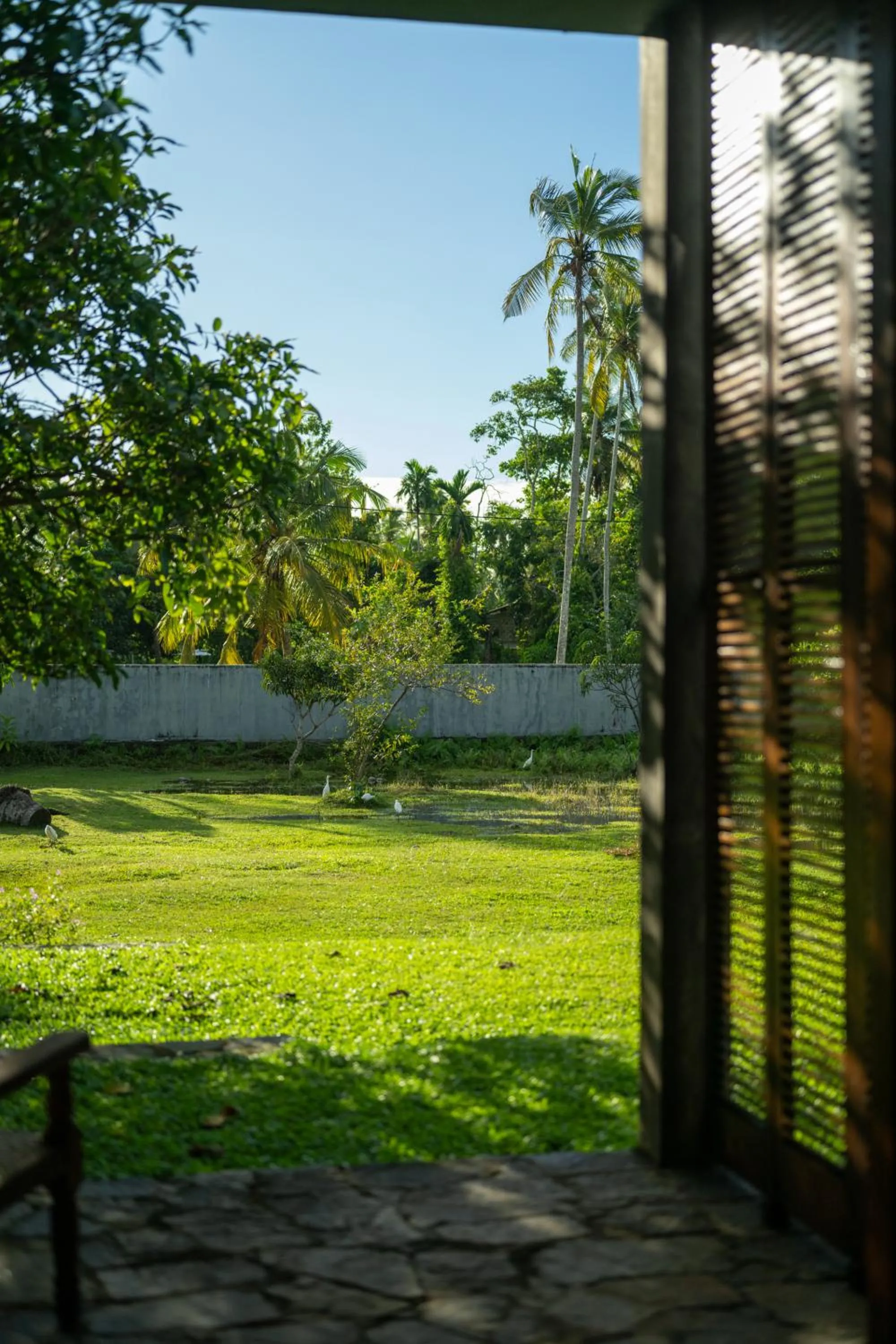 View (from property/room) in Wirdana Resort & Spa