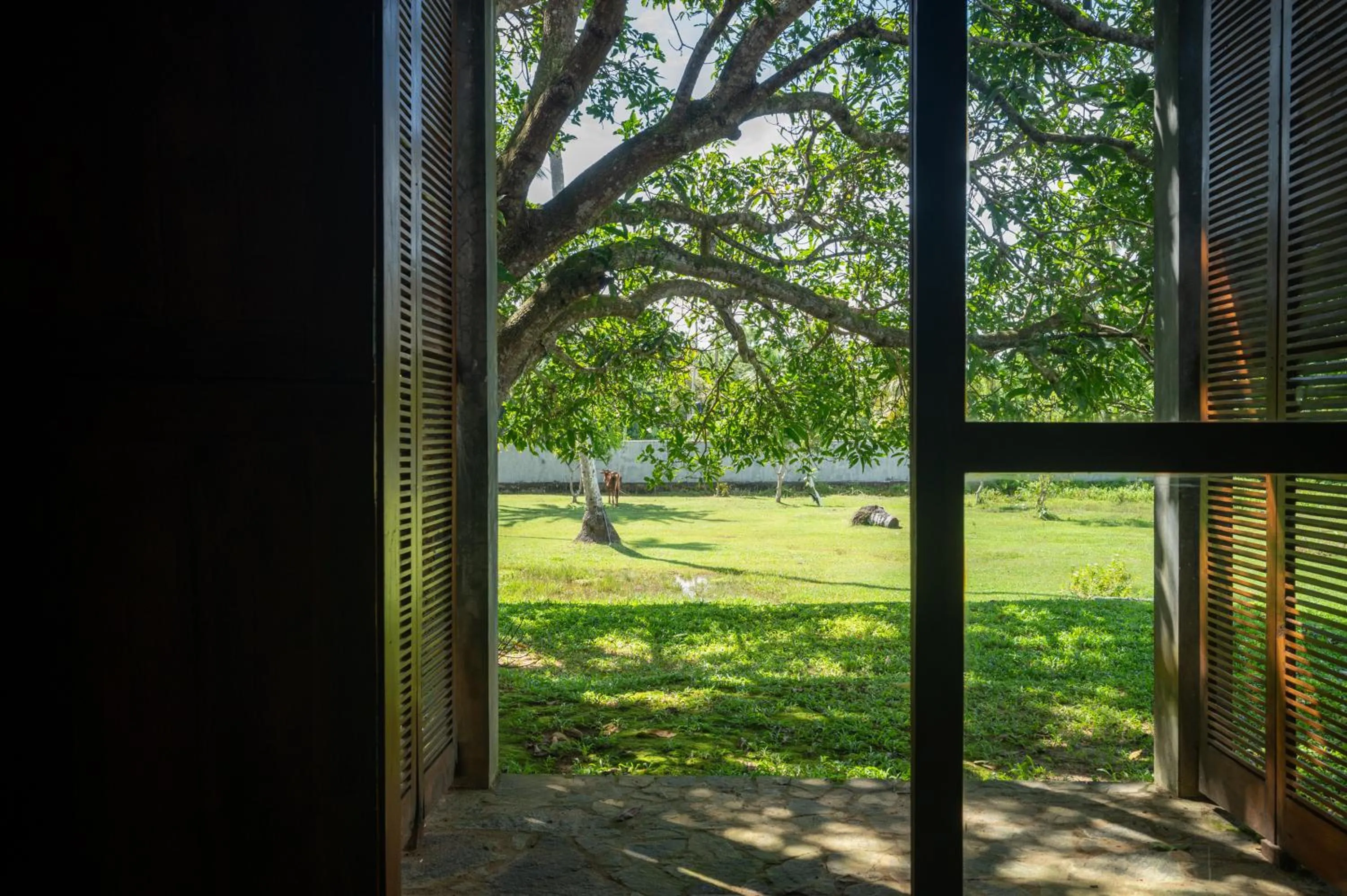 View (from property/room) in Wirdana Resort & Spa