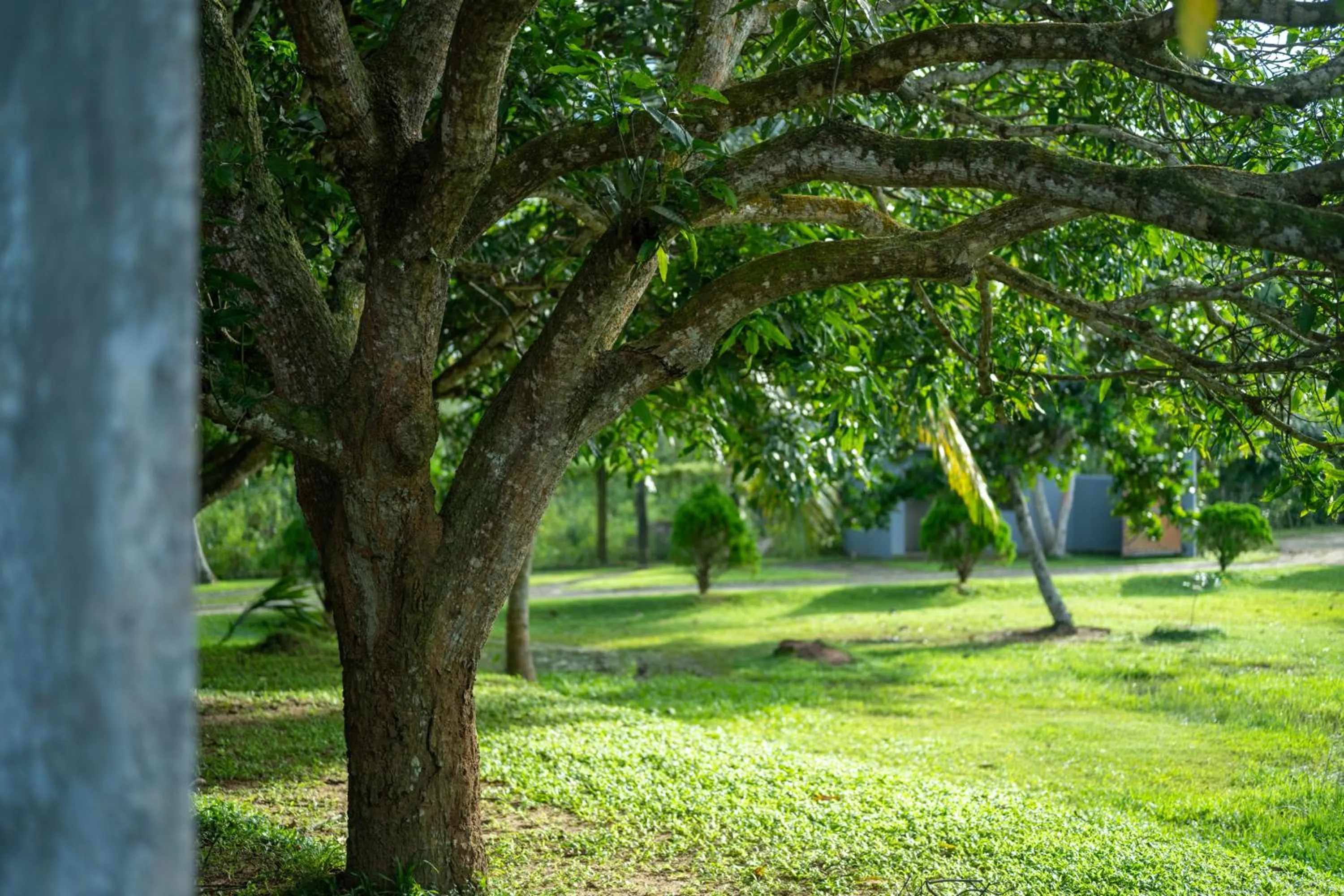 Garden in Wirdana Resort & Spa